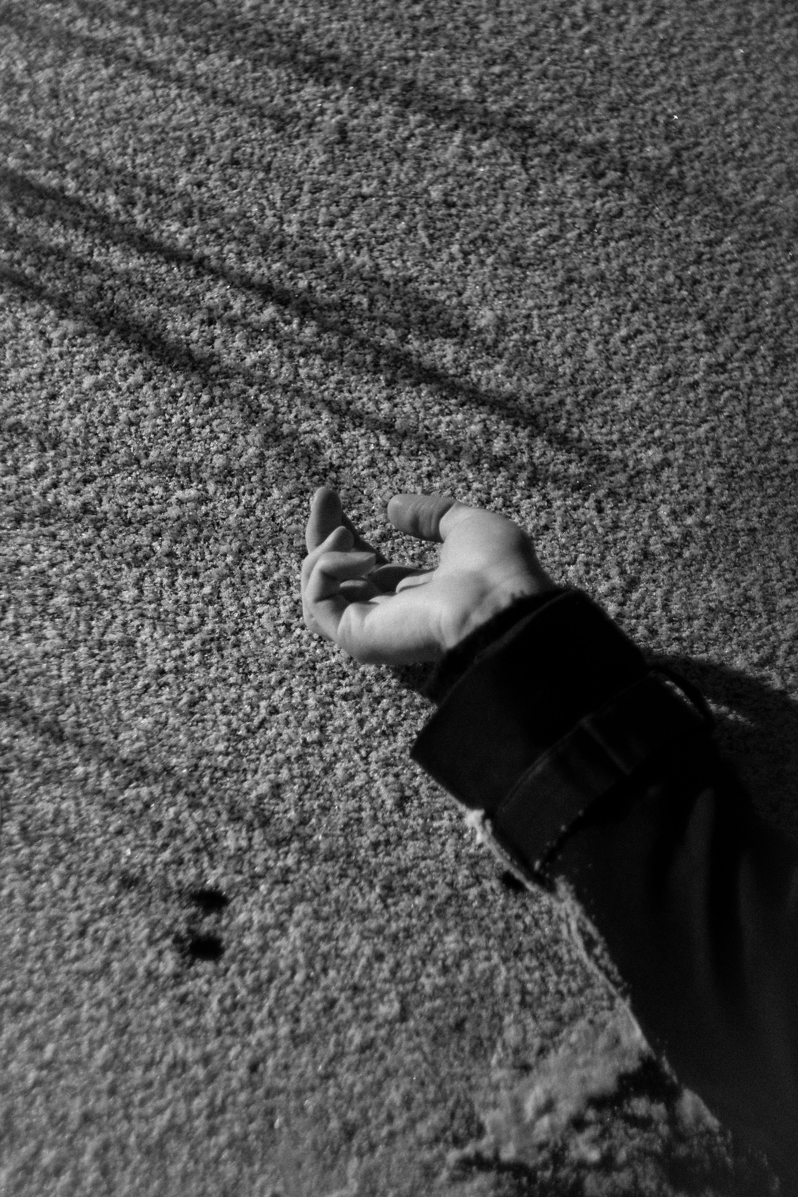 Портрет Димы. Уральское создание