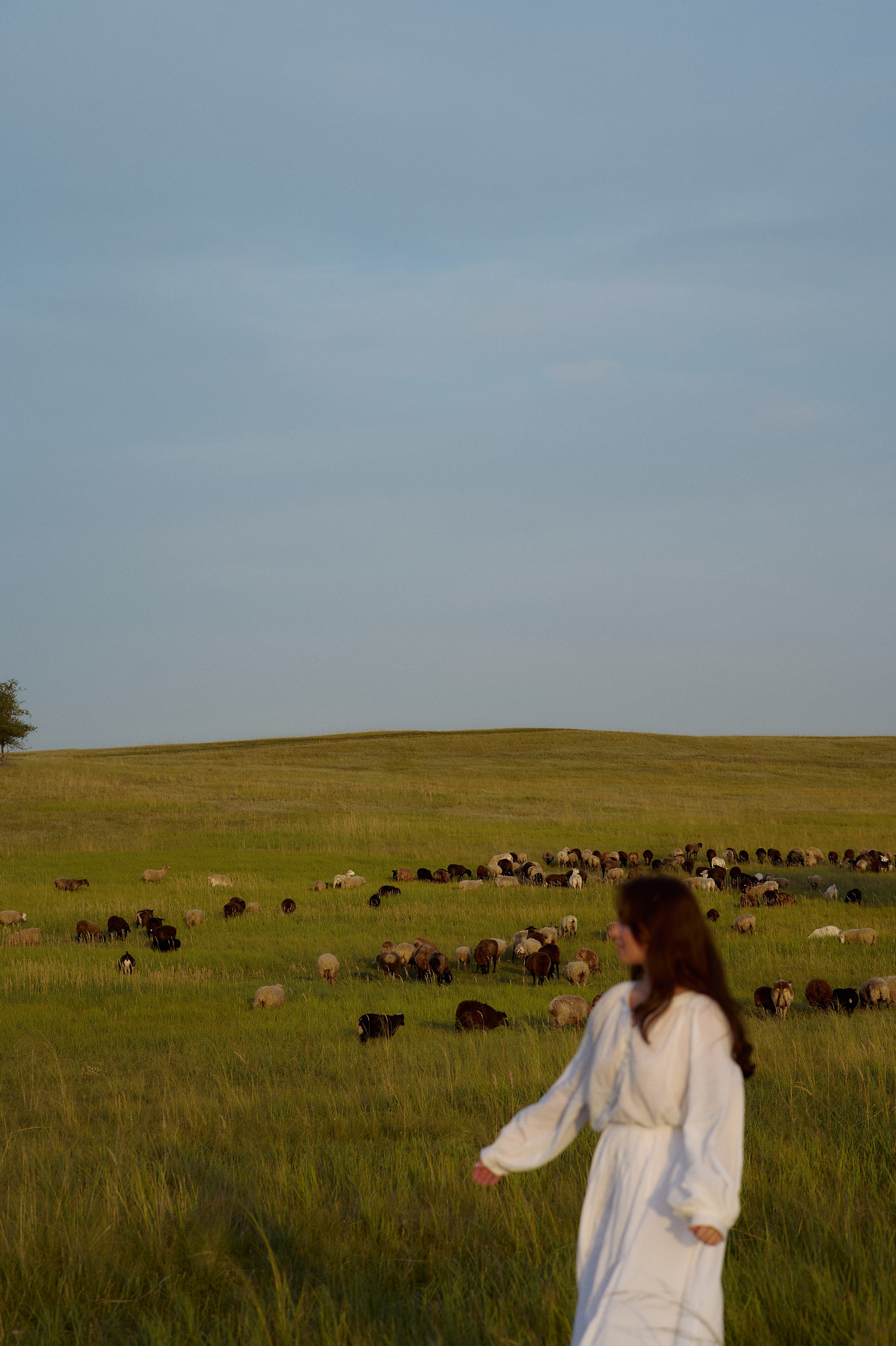 Шамиль, Аня и Марс в поле с барашками. Семейный и свадебный lifestyle-фотограф в Москве Мария Петрова