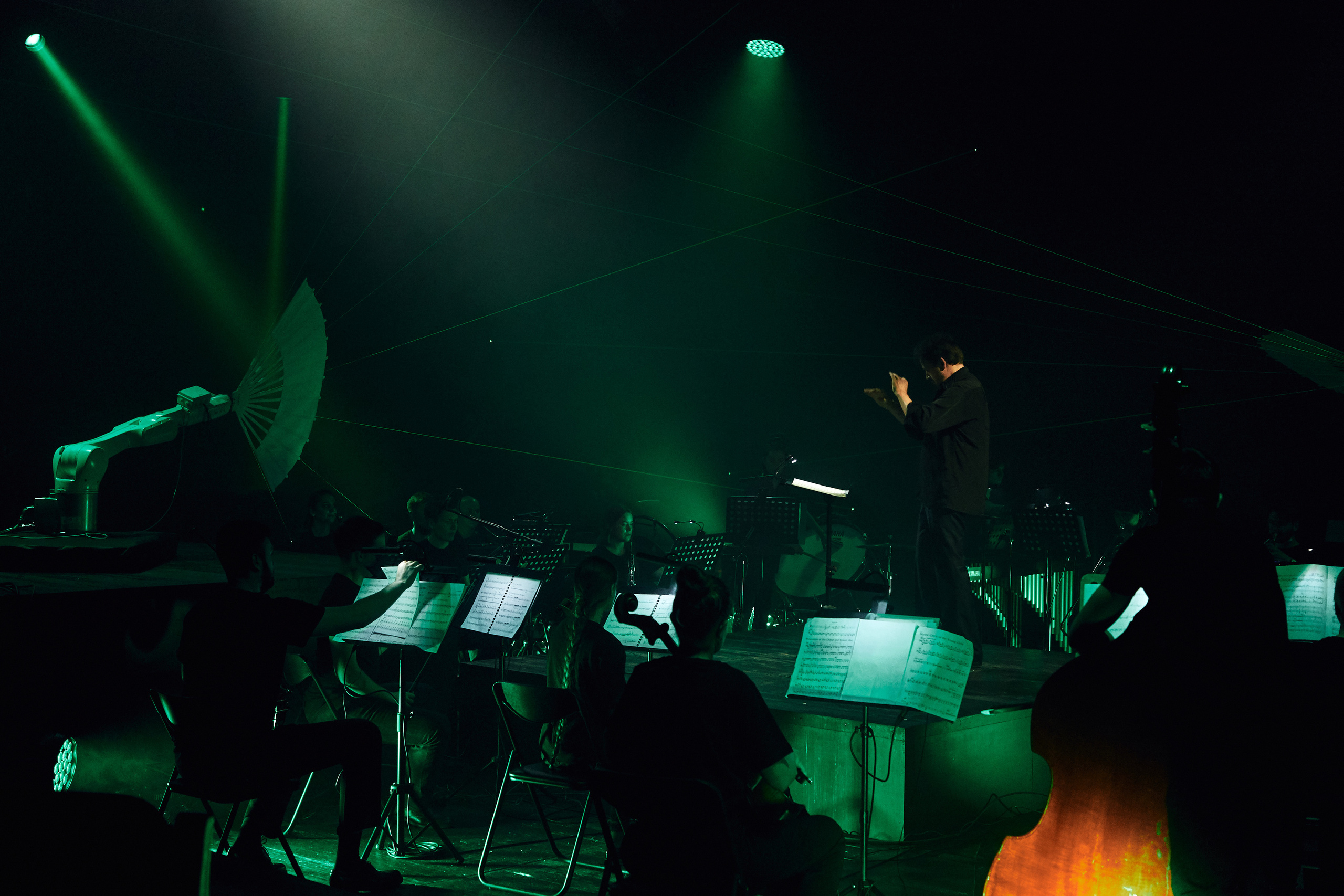 Стравинский.Весна. Фотограф Нина Антонова