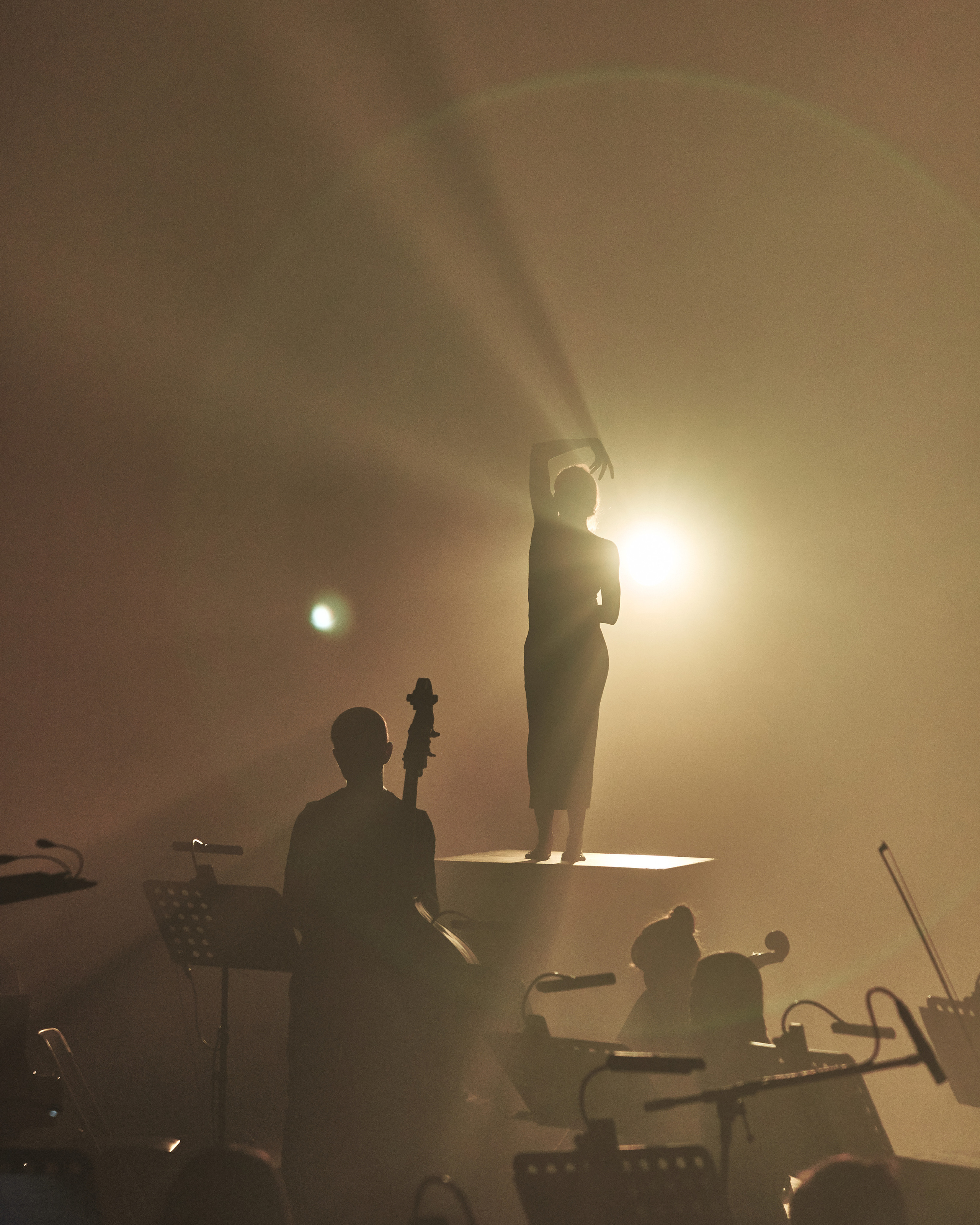 Стравинский.Весна. Фотограф Нина Антонова