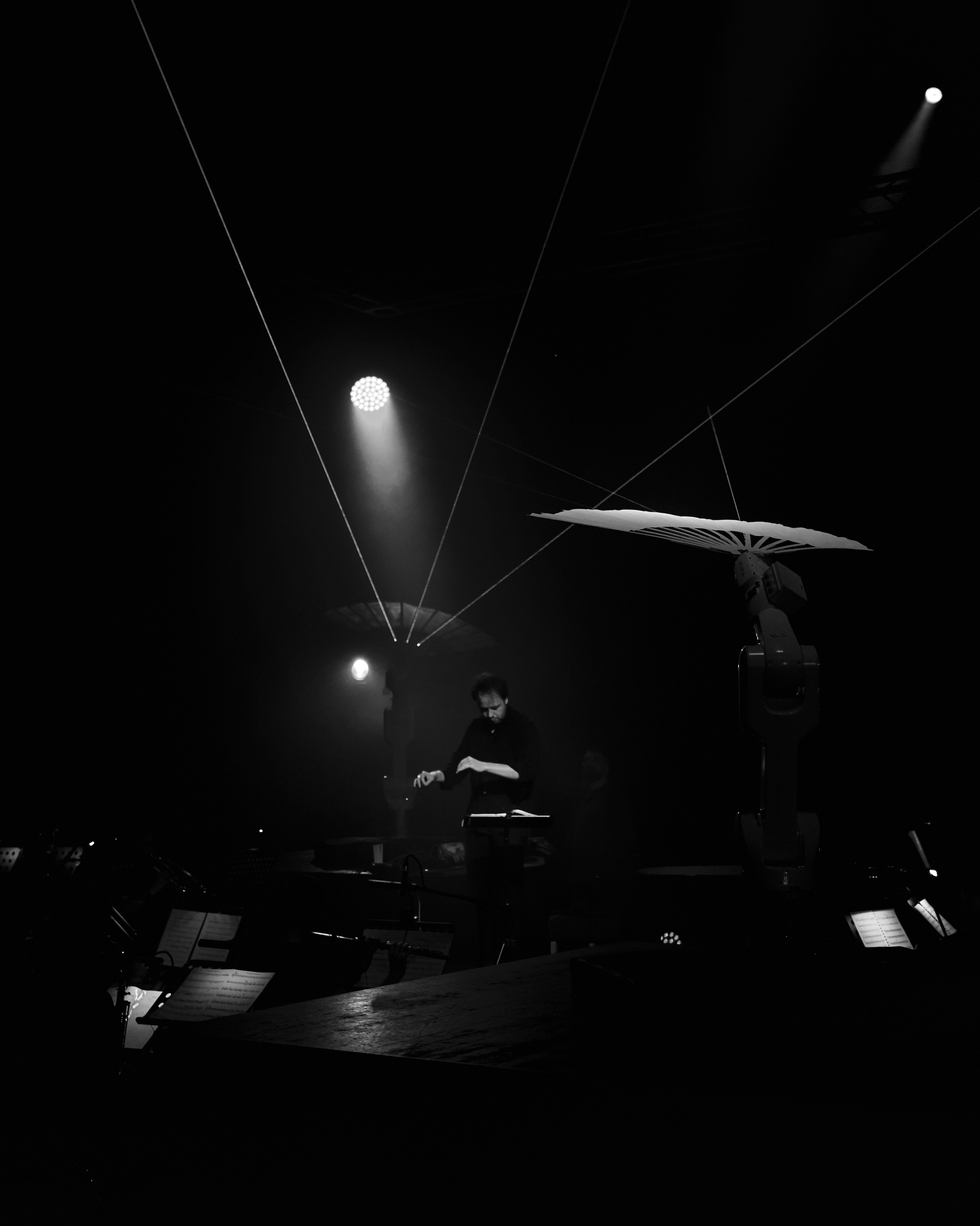 Стравинский.Весна. Фотограф Нина Антонова