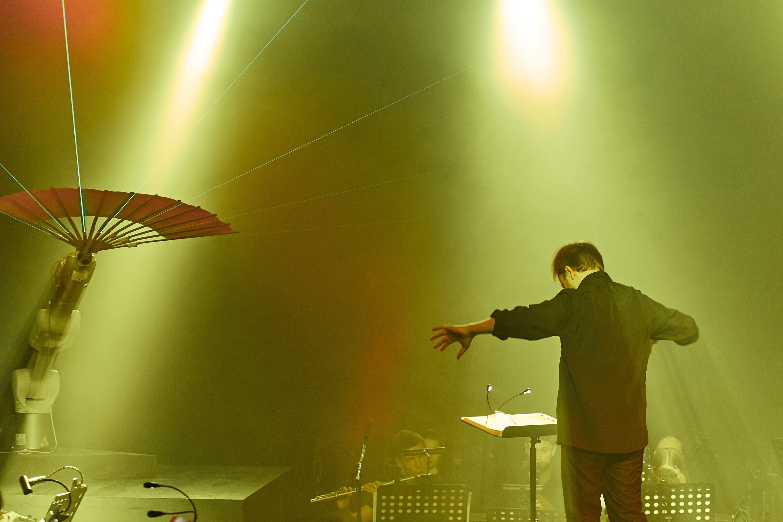 Стравинский.Весна. Фотограф Нина Антонова