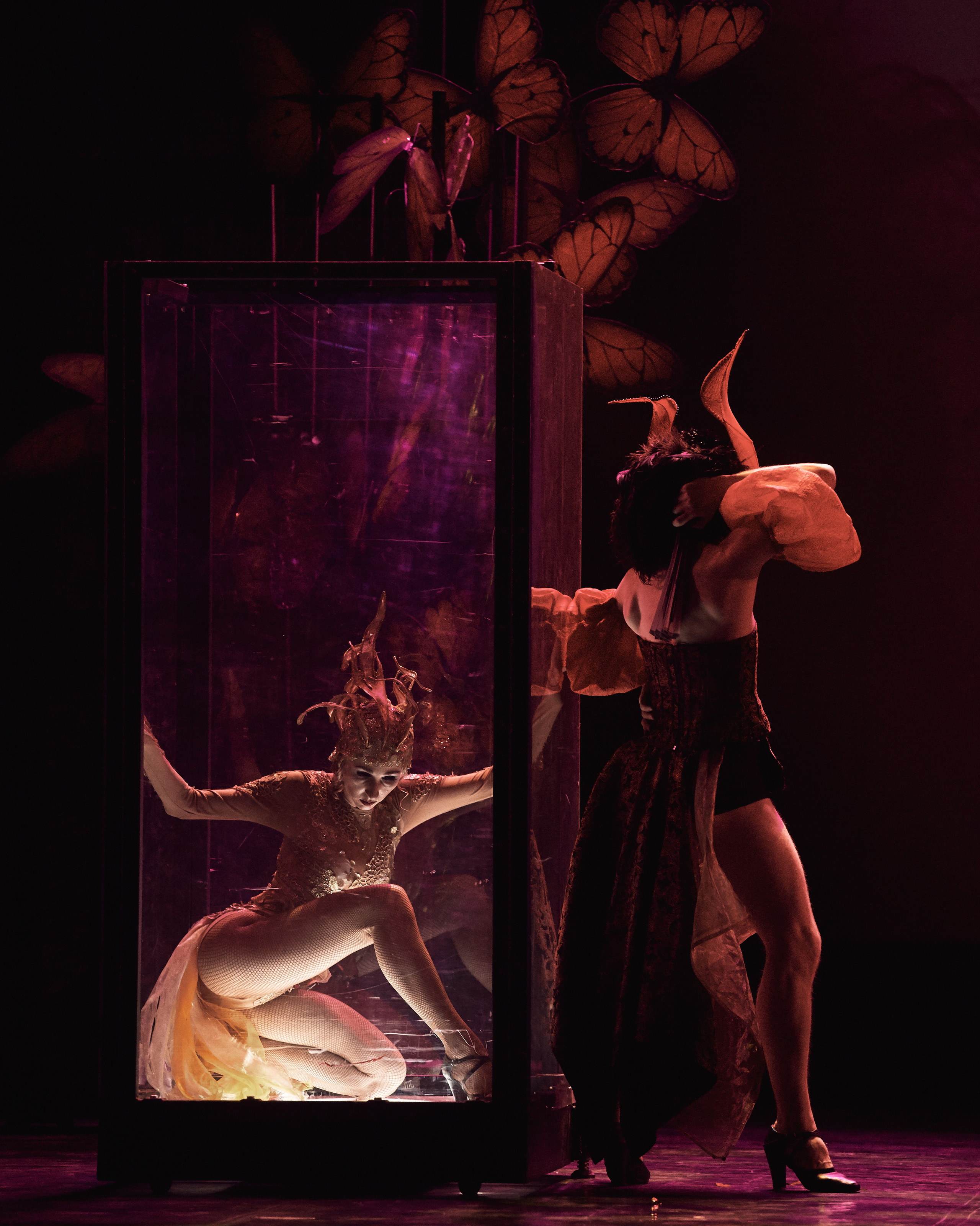 Портрет Дориана Грея. Фотограф Нина Антонова