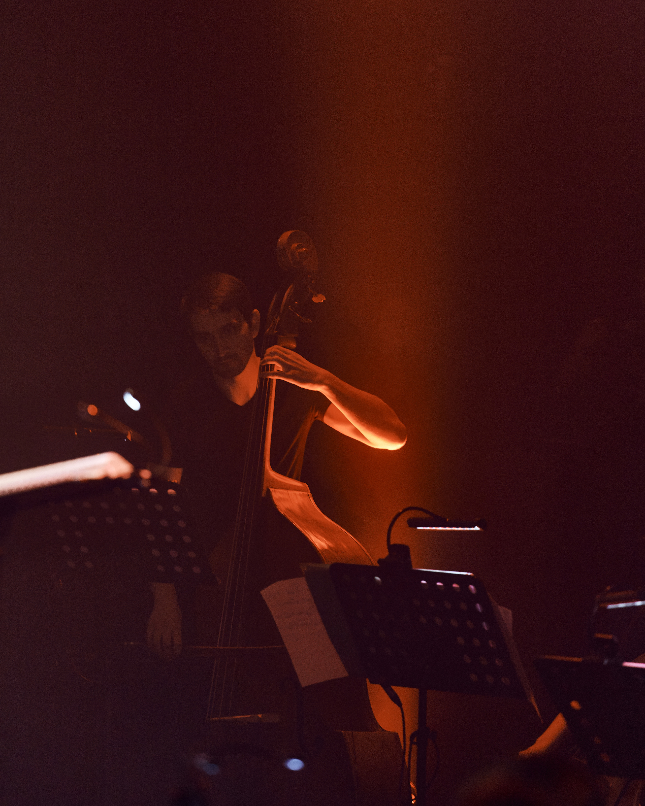 Стравинский.Весна. Фотограф Нина Антонова