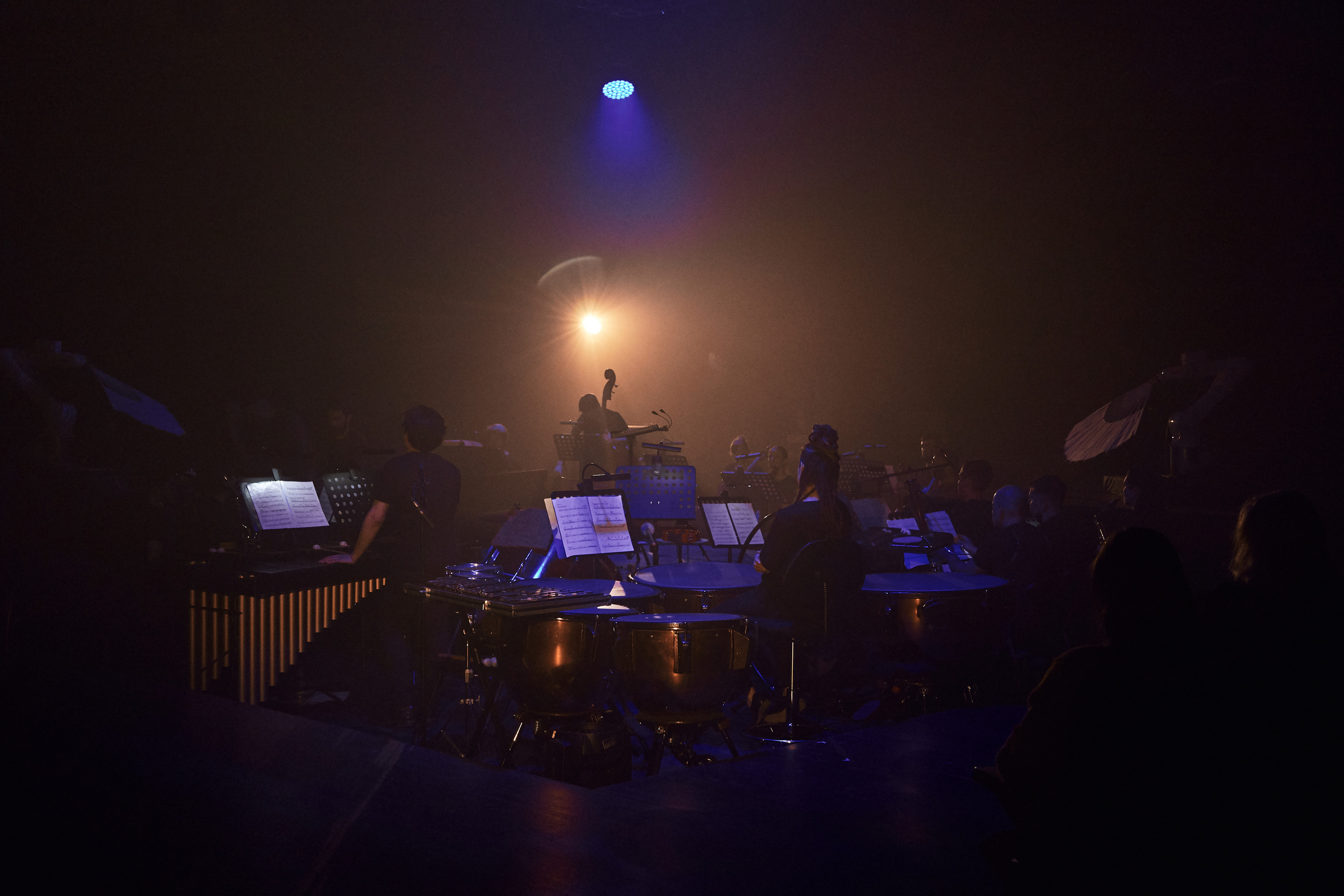 Стравинский.Весна. Фотограф Нина Антонова