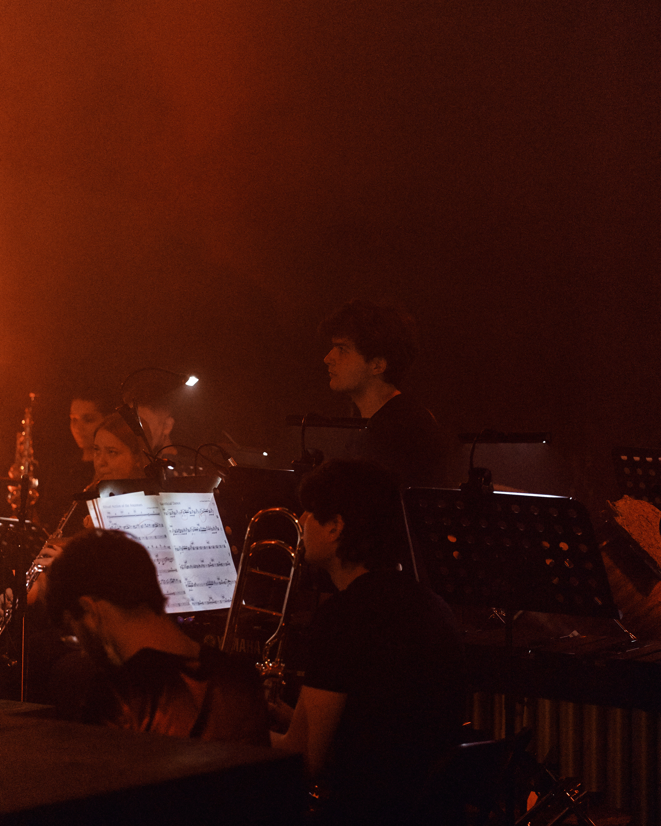 Стравинский.Весна. Фотограф Нина Антонова