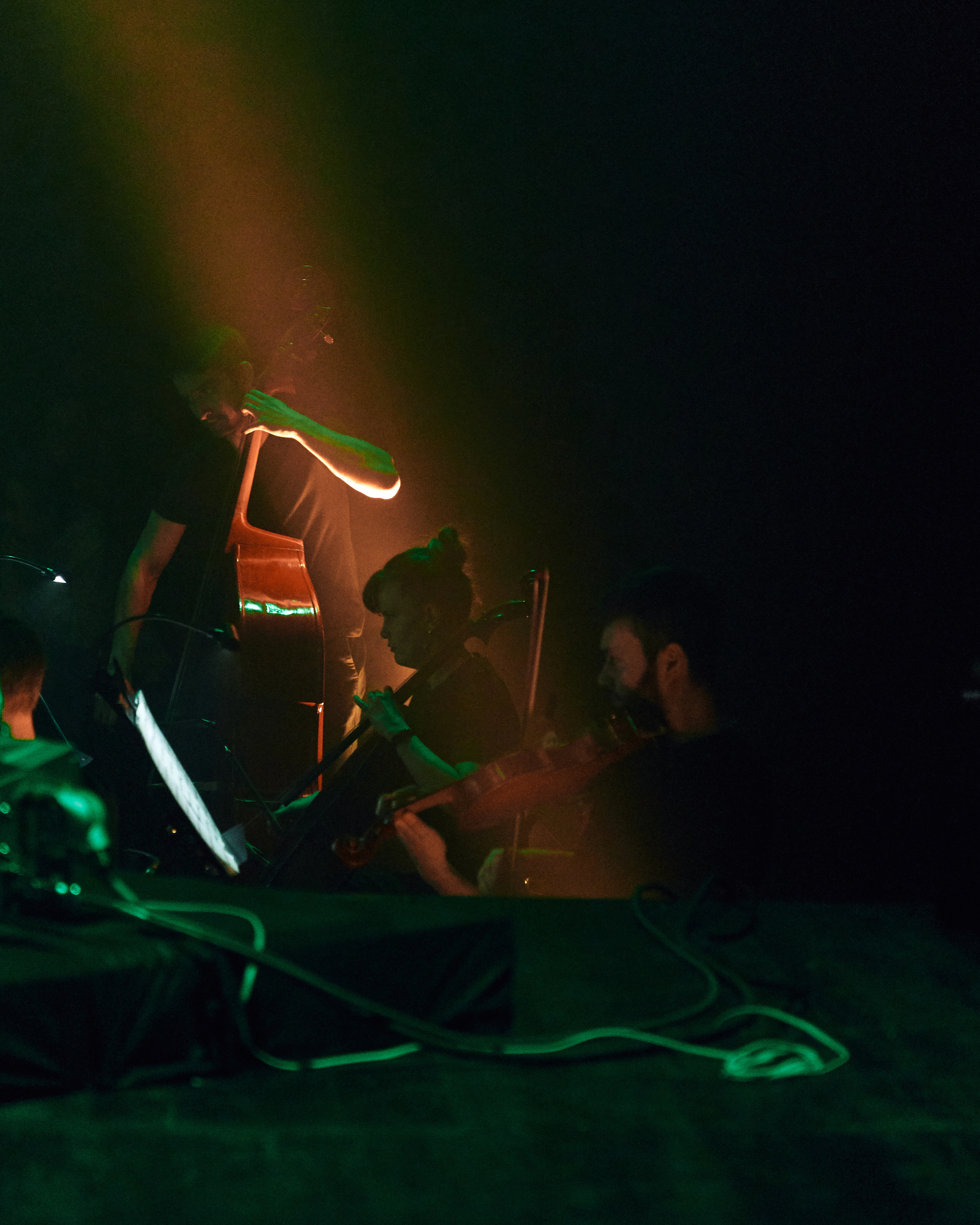 Стравинский.Весна. Фотограф Нина Антонова