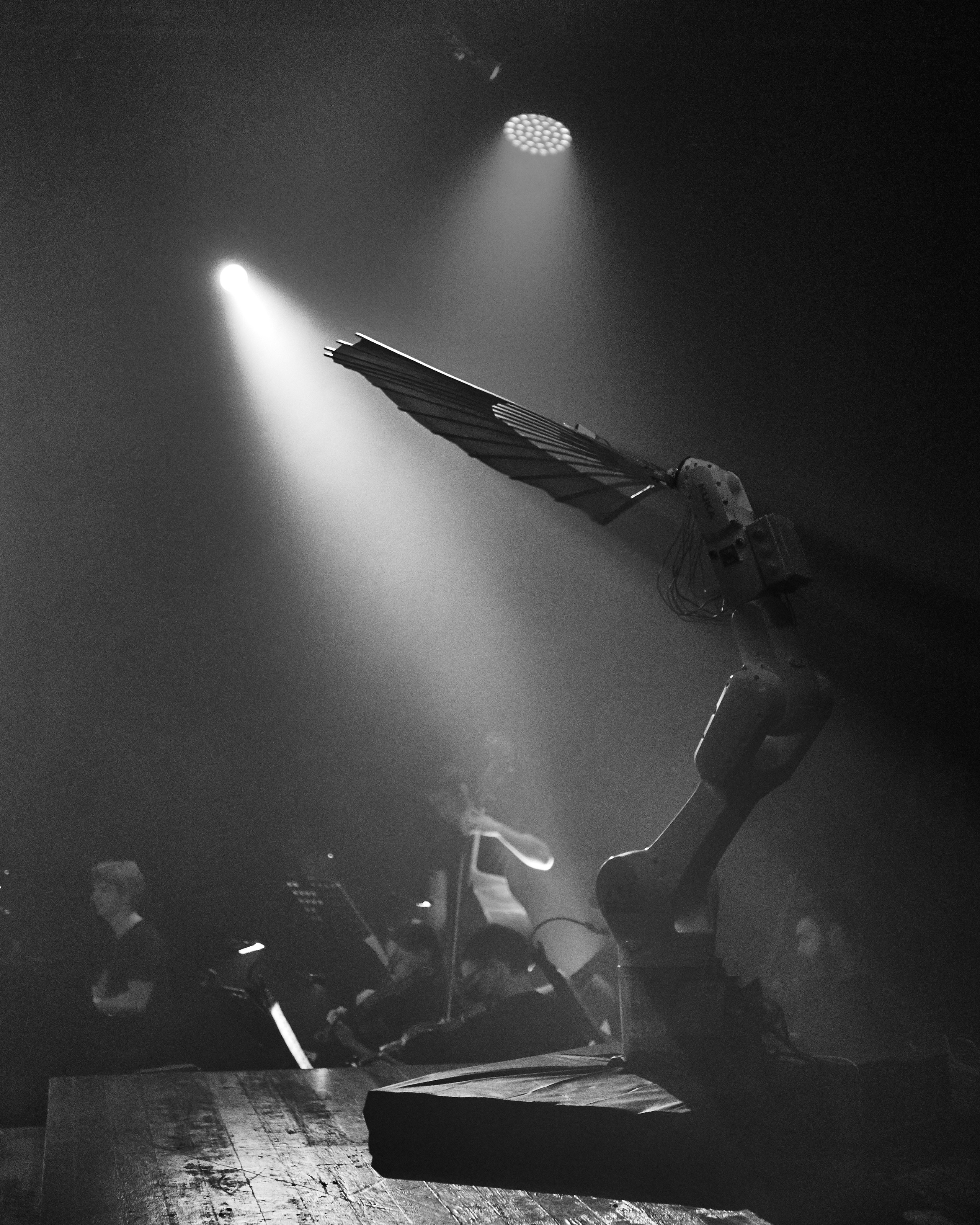 Стравинский.Весна. Фотограф Нина Антонова