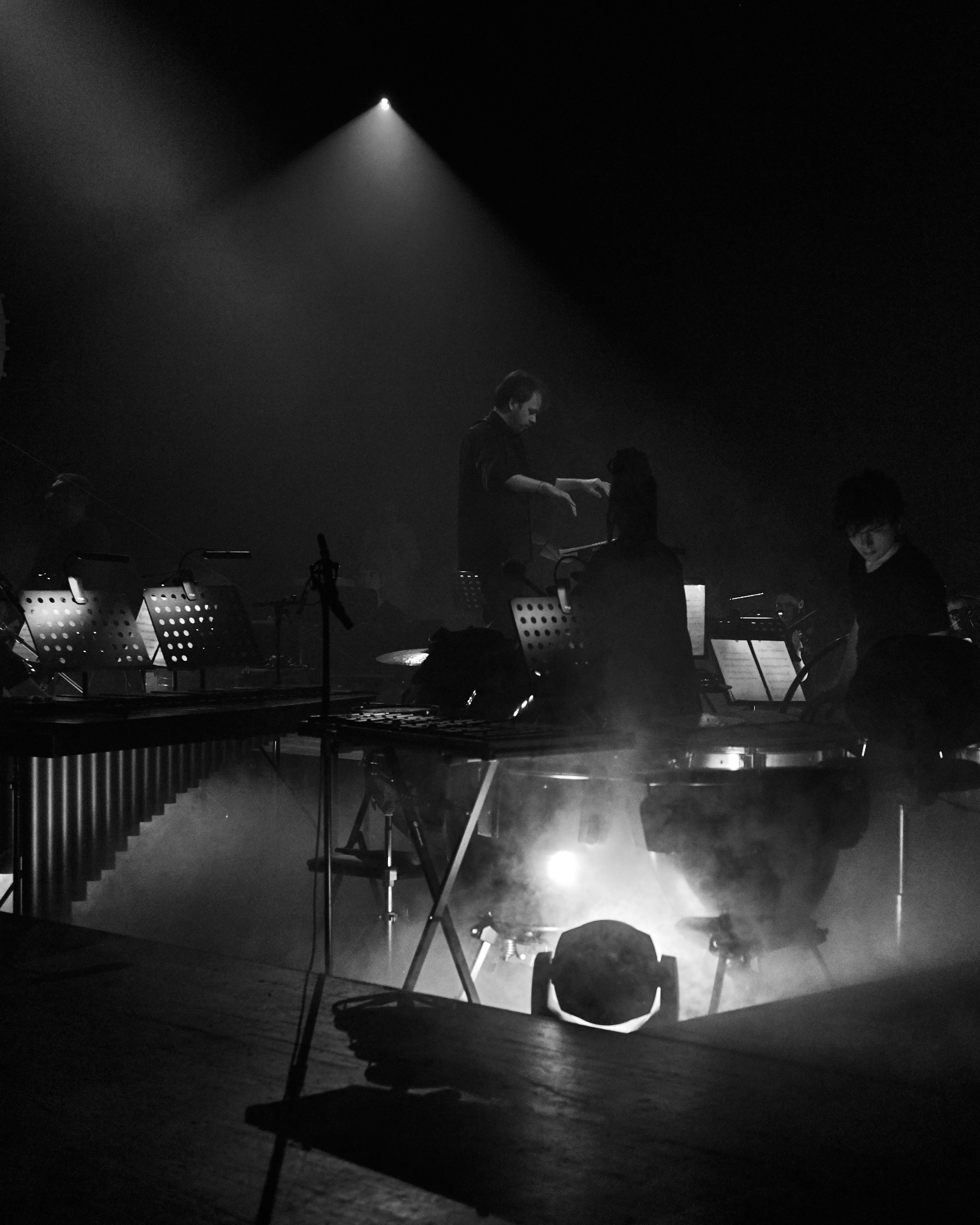 Стравинский.Весна. Фотограф Нина Антонова