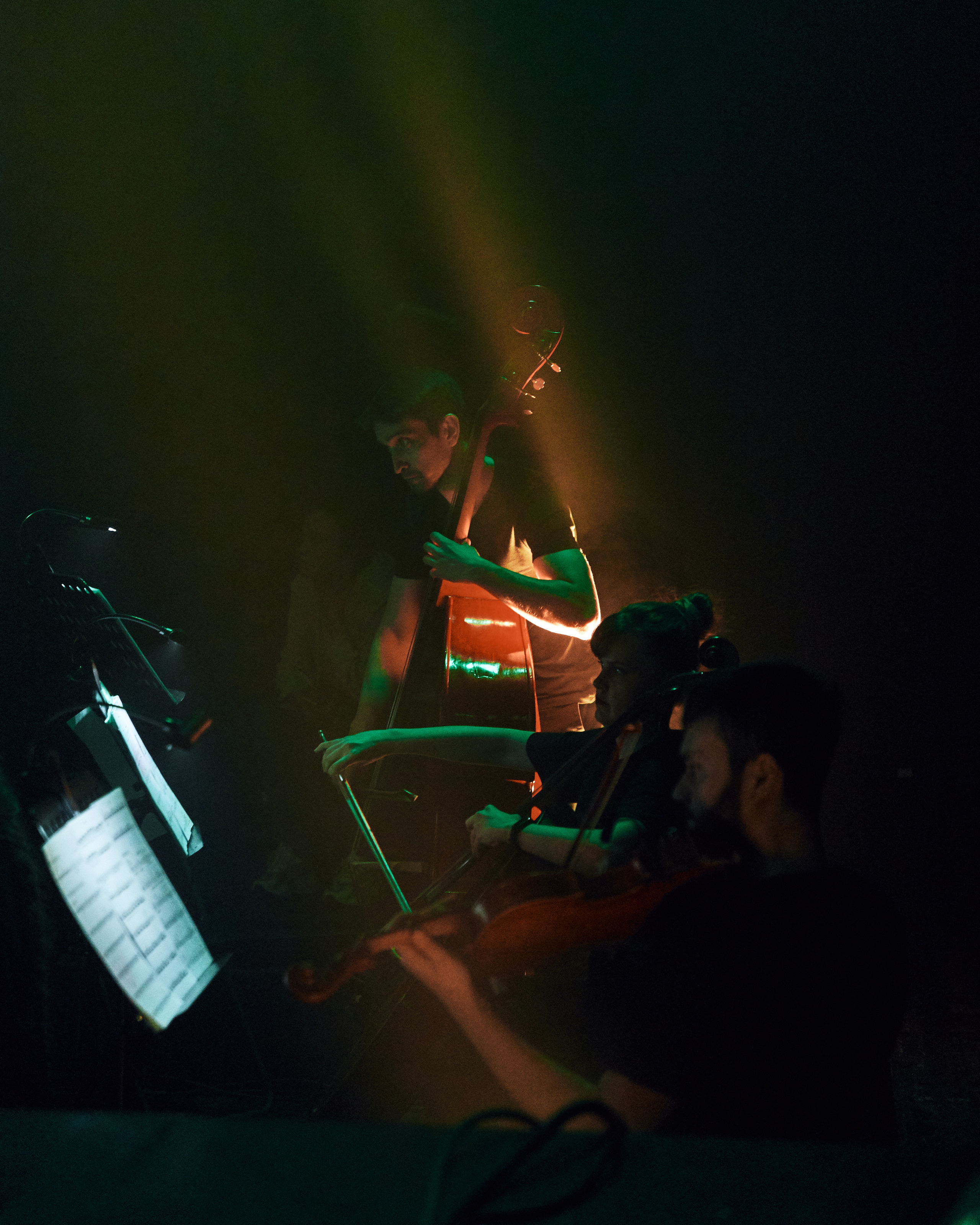 Стравинский.Весна. Фотограф Нина Антонова