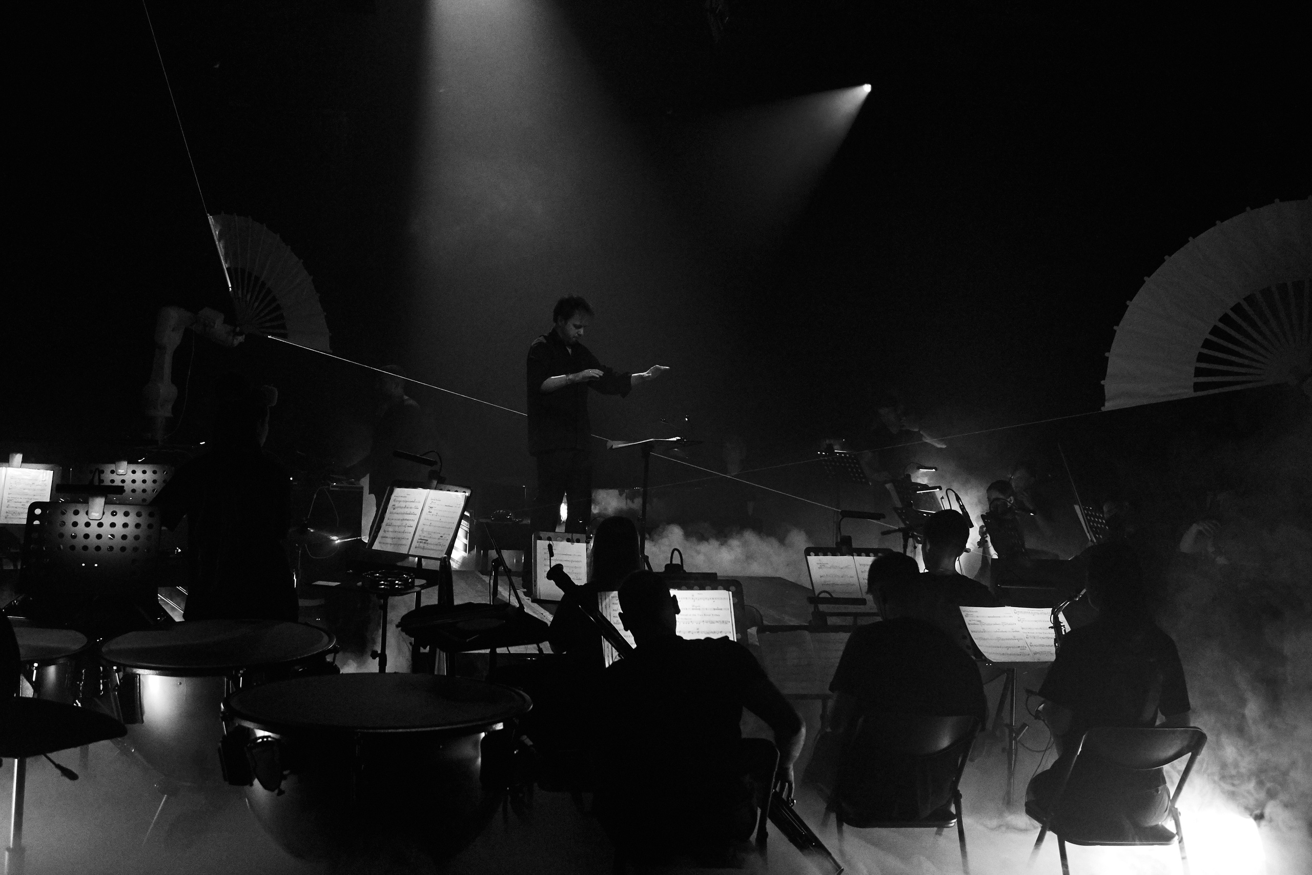 Стравинский.Весна. Фотограф Нина Антонова