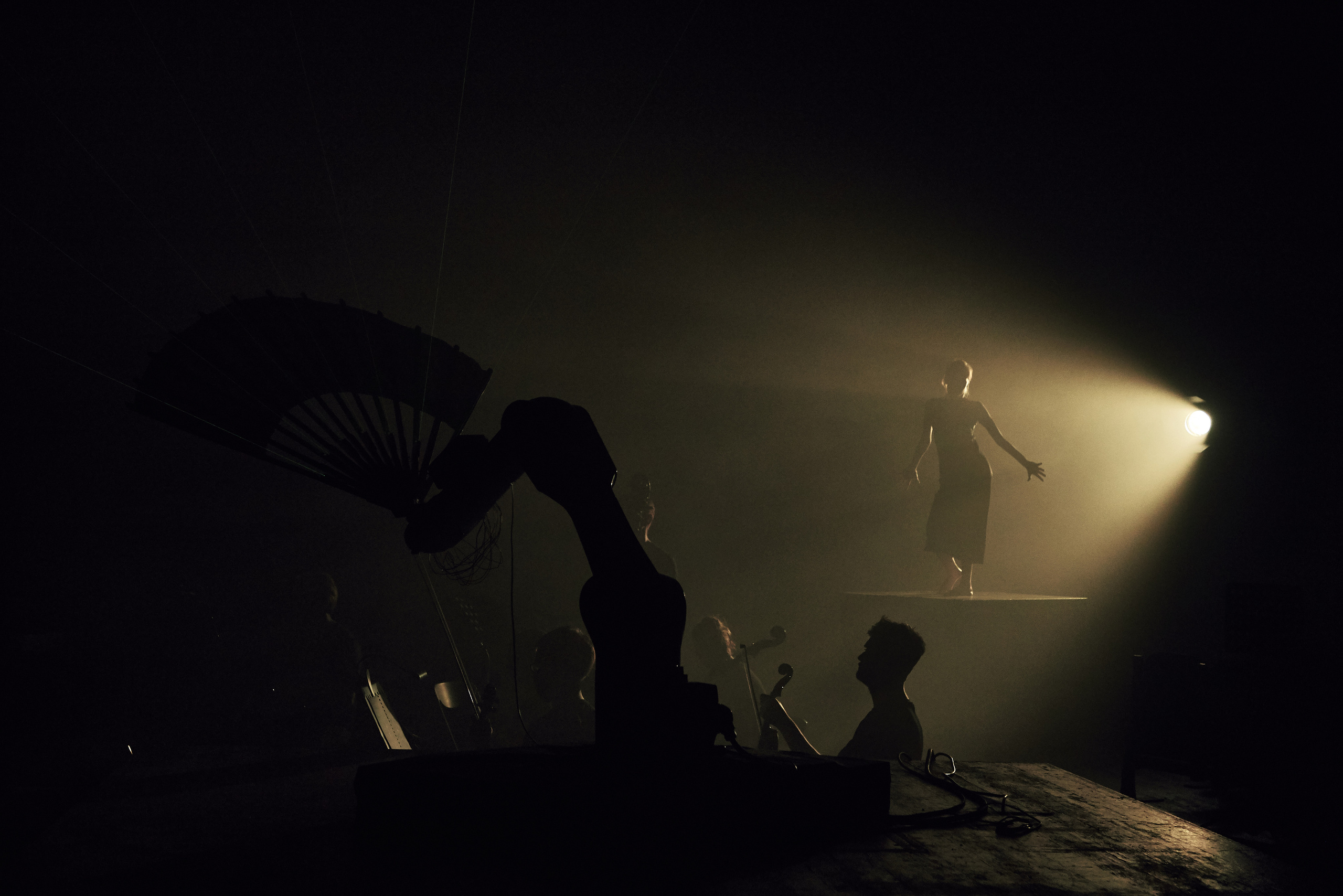 Стравинский.Весна. Фотограф Нина Антонова