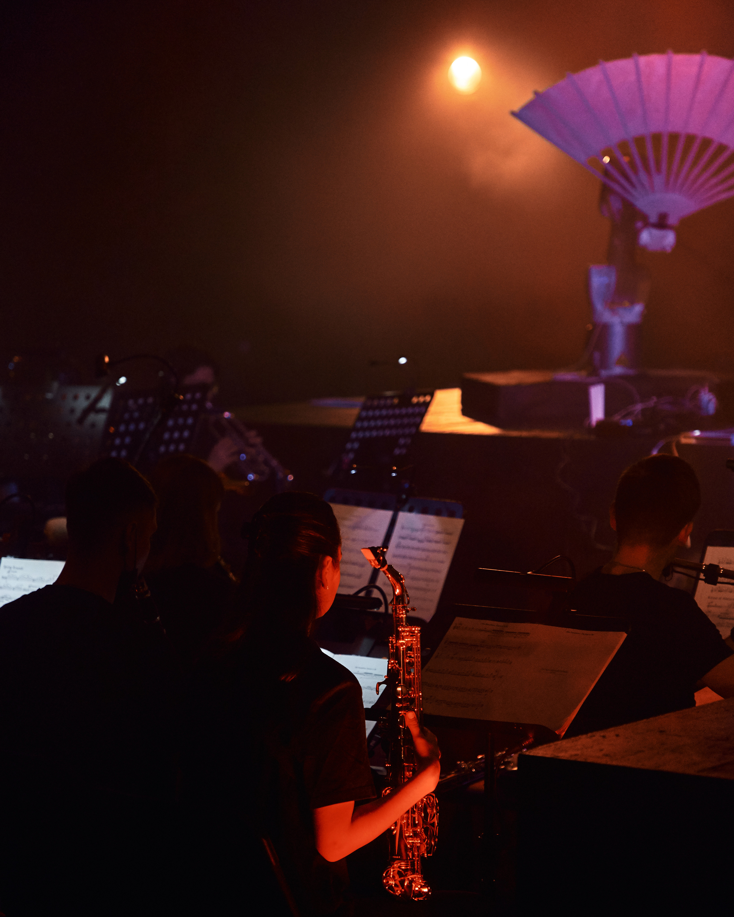 Стравинский.Весна. Фотограф Нина Антонова