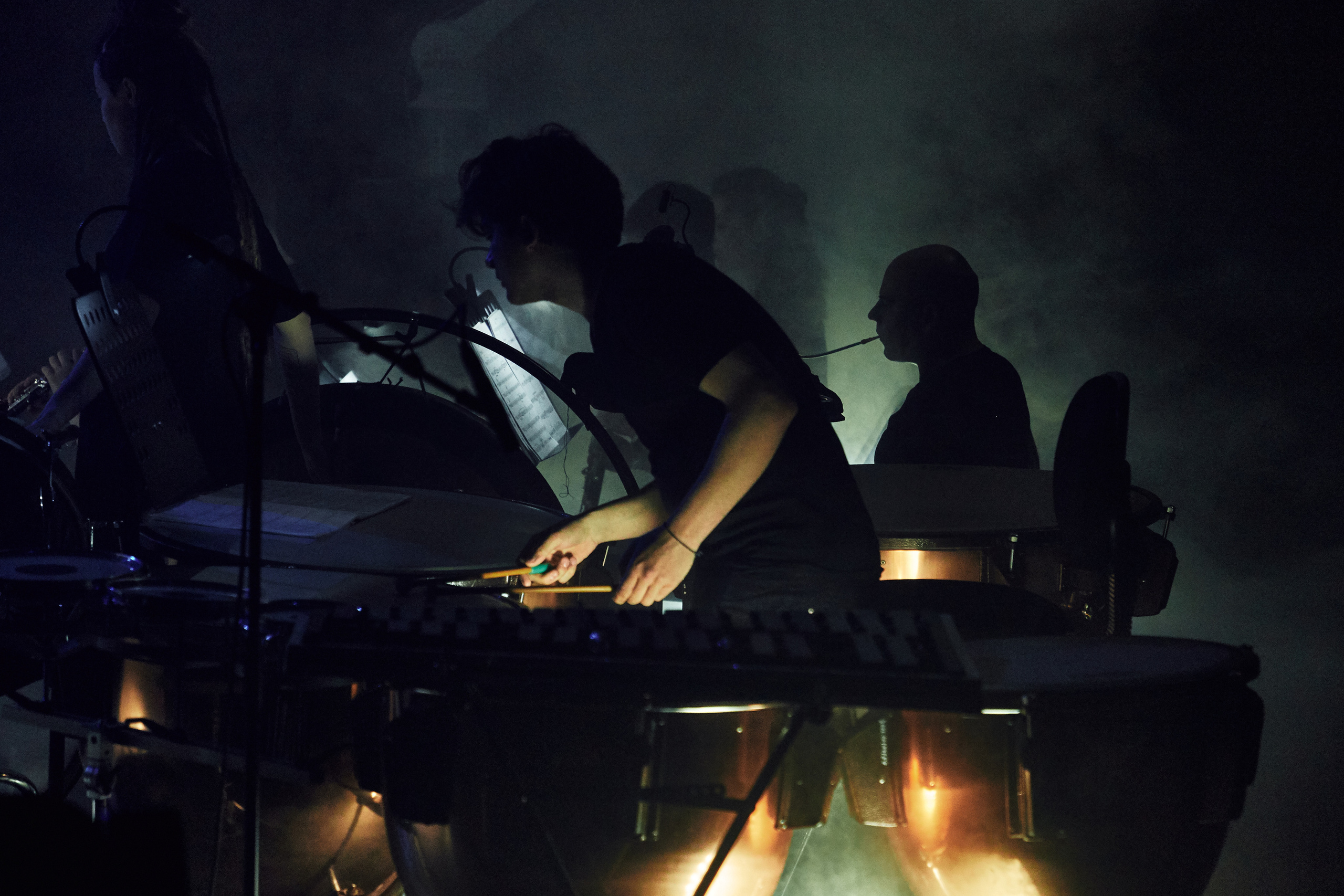 Стравинский.Весна. Фотограф Нина Антонова