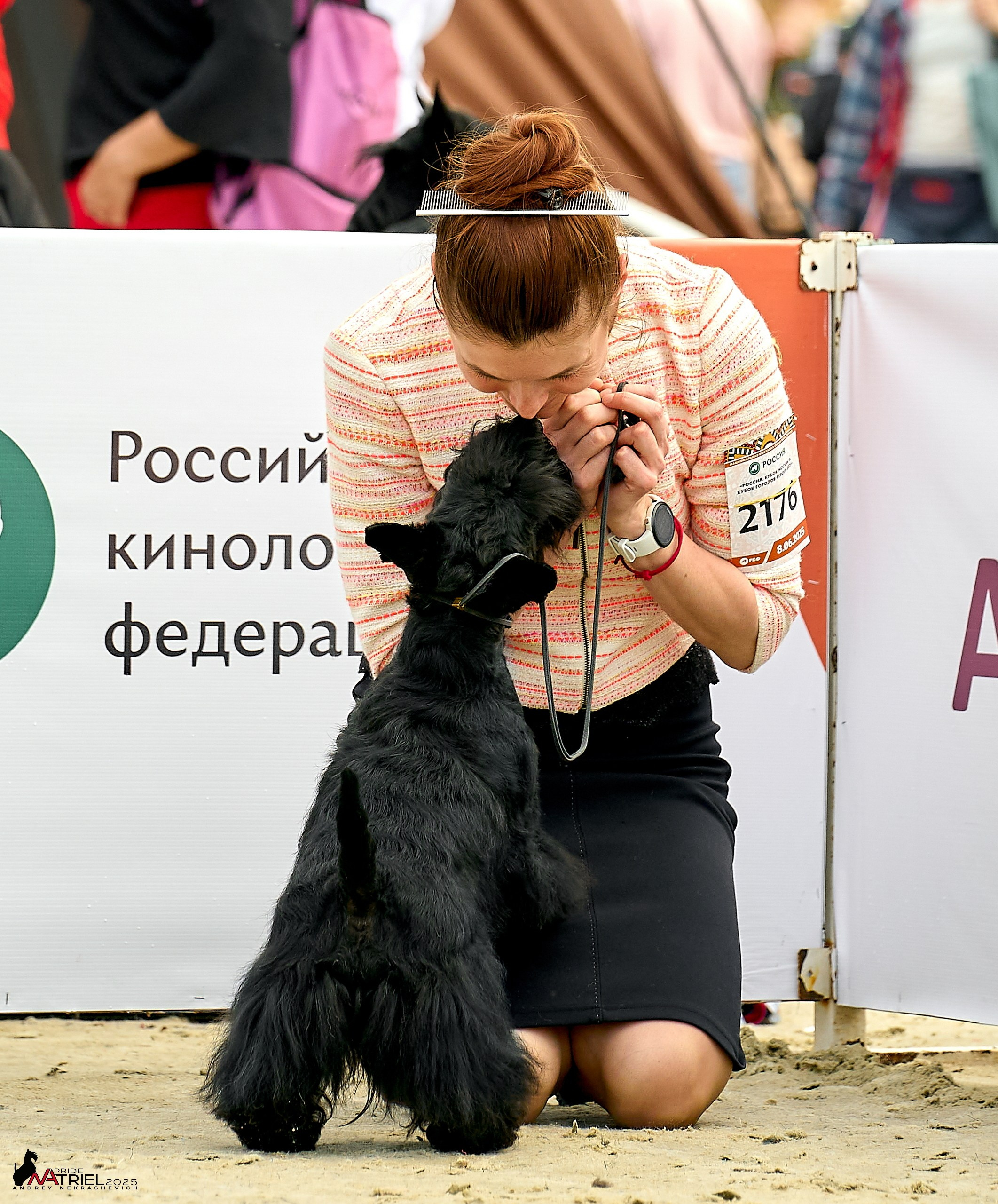 Выставка собак РОССИЯ — 2025