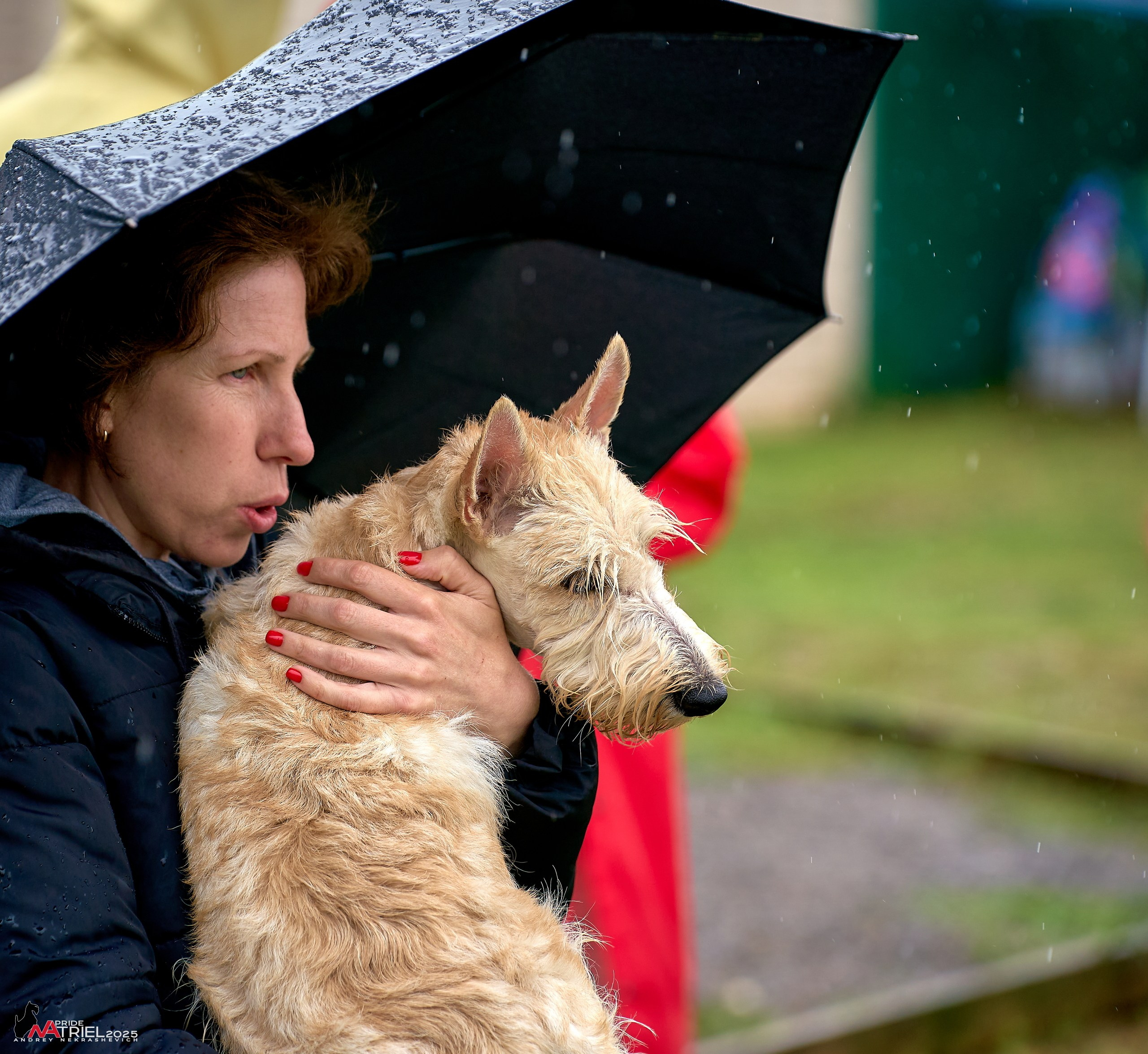 Репортаж с выставки собак