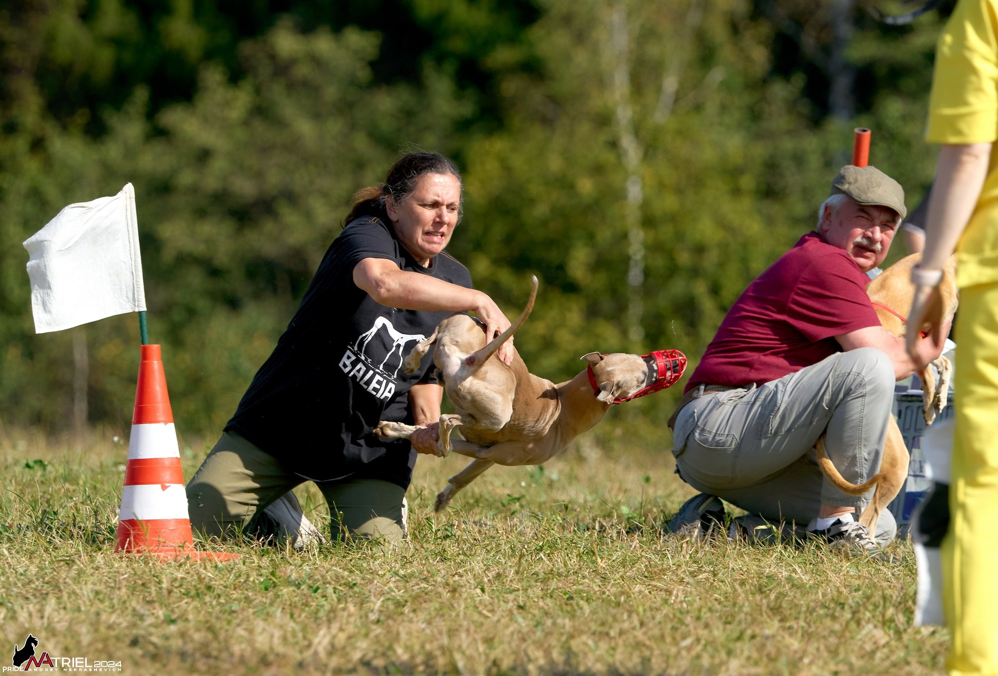 Курсинг в Иволге