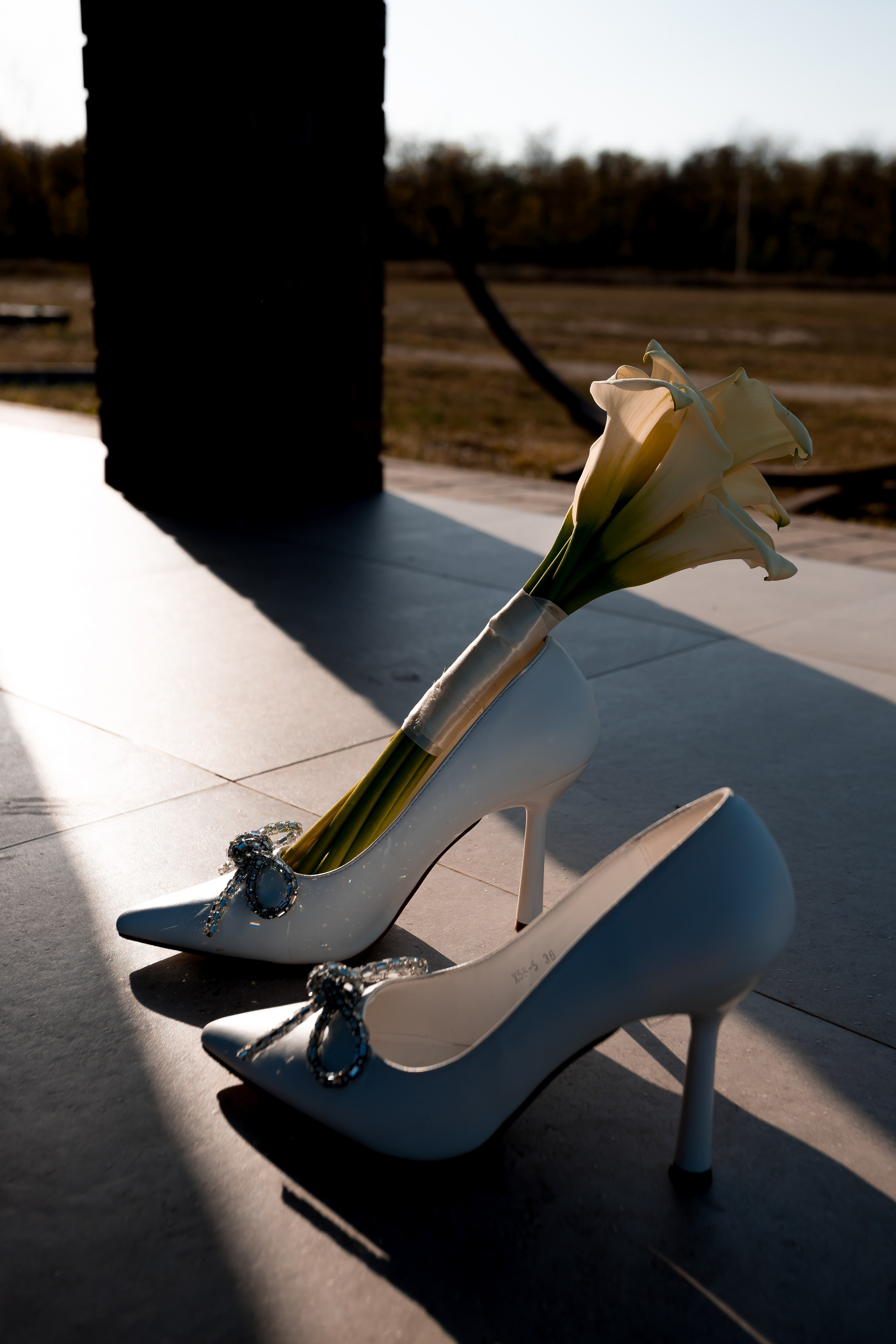 Саша & Даша. Фотограф в Ставрополе Евгений Наглянцев