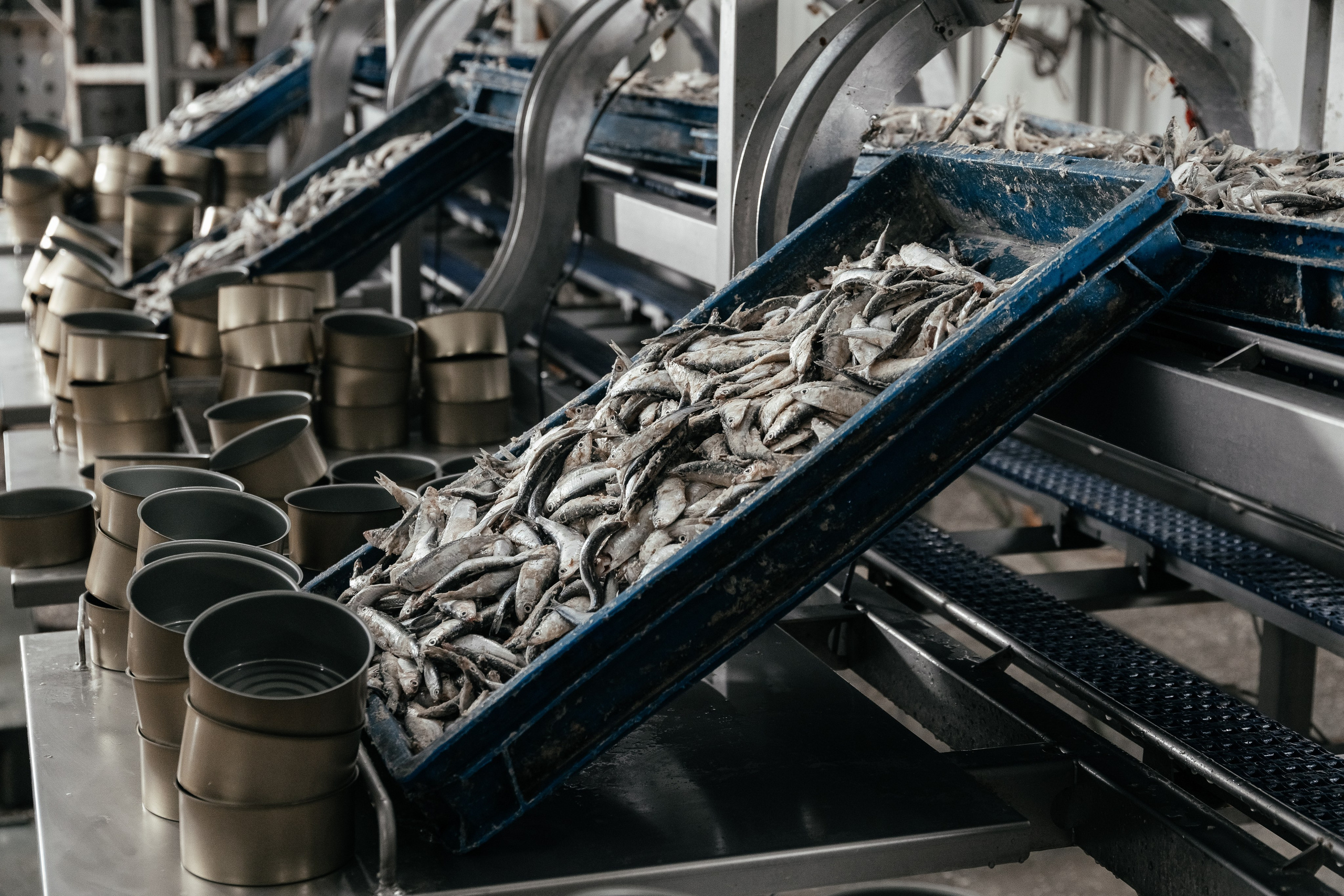 Консервный Завод. Фотограф Ставрополь Петр Голубенко