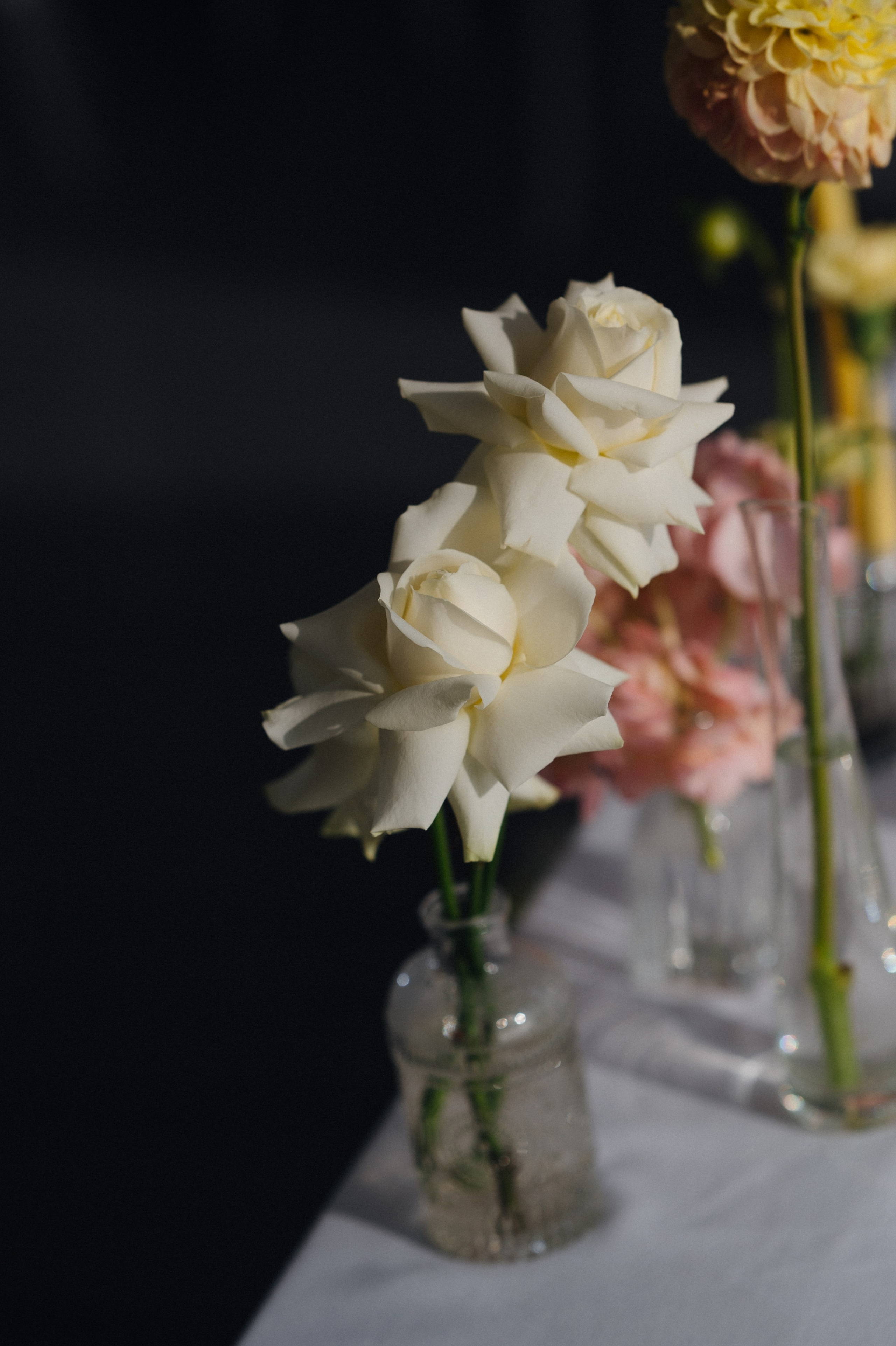 История любви Семёна и Елизаветы. Свадебный и семейный фотограф в Краснодаре Марина Стёпа