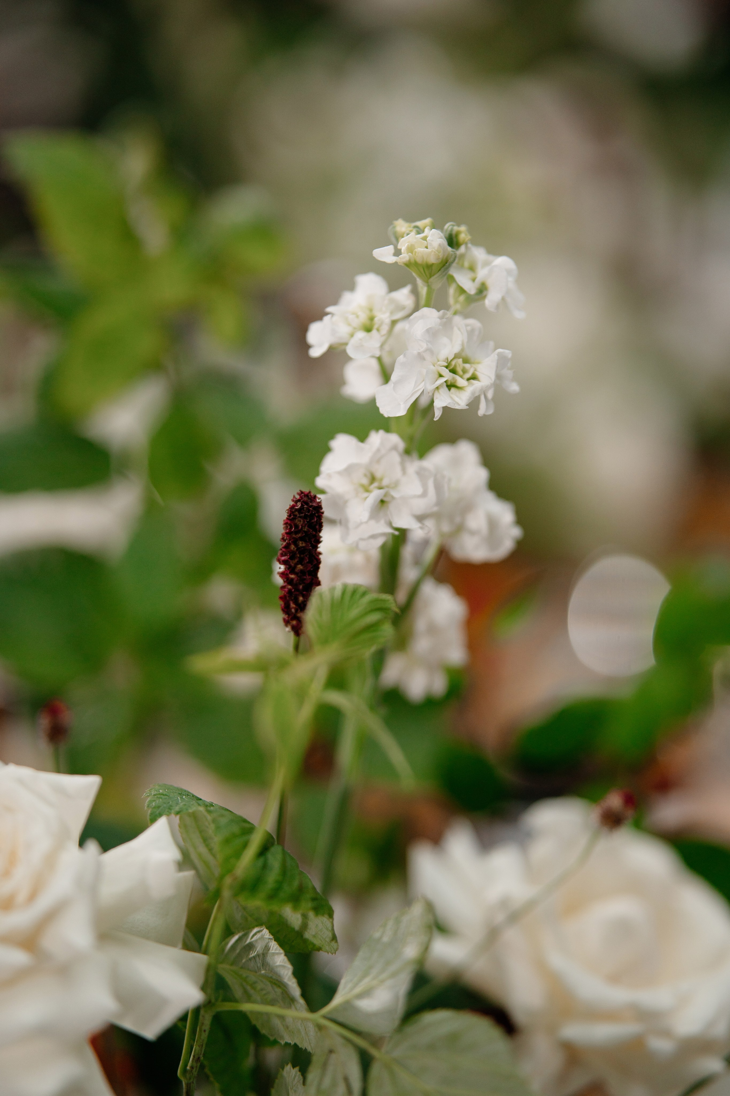 Елисей и Виктория. Свадебный и репортажный фотограф в Москве Андрей Вайман