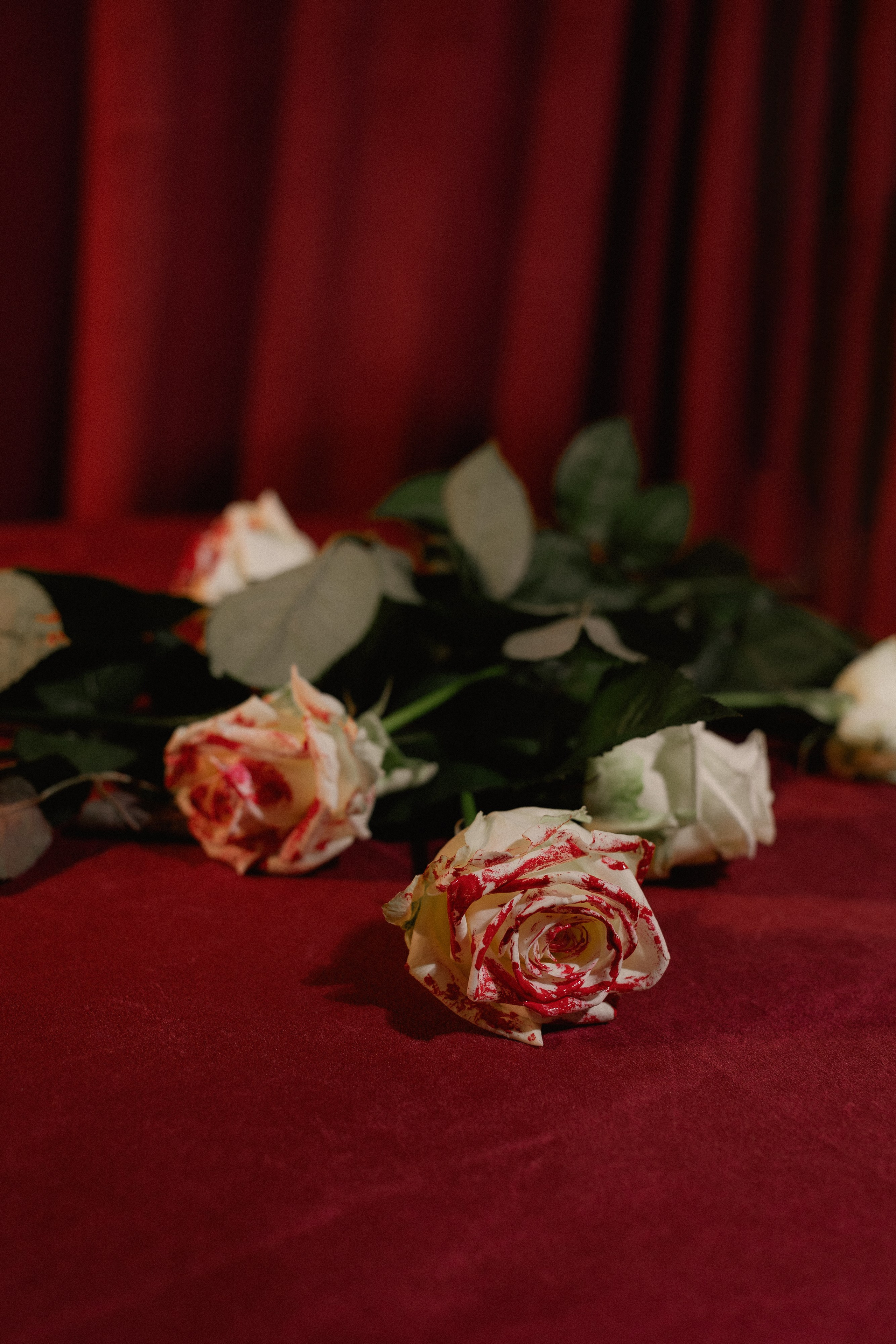 Красная королева из алисы в стране чудес карты красные розы. Фотограф Евпатория Крым