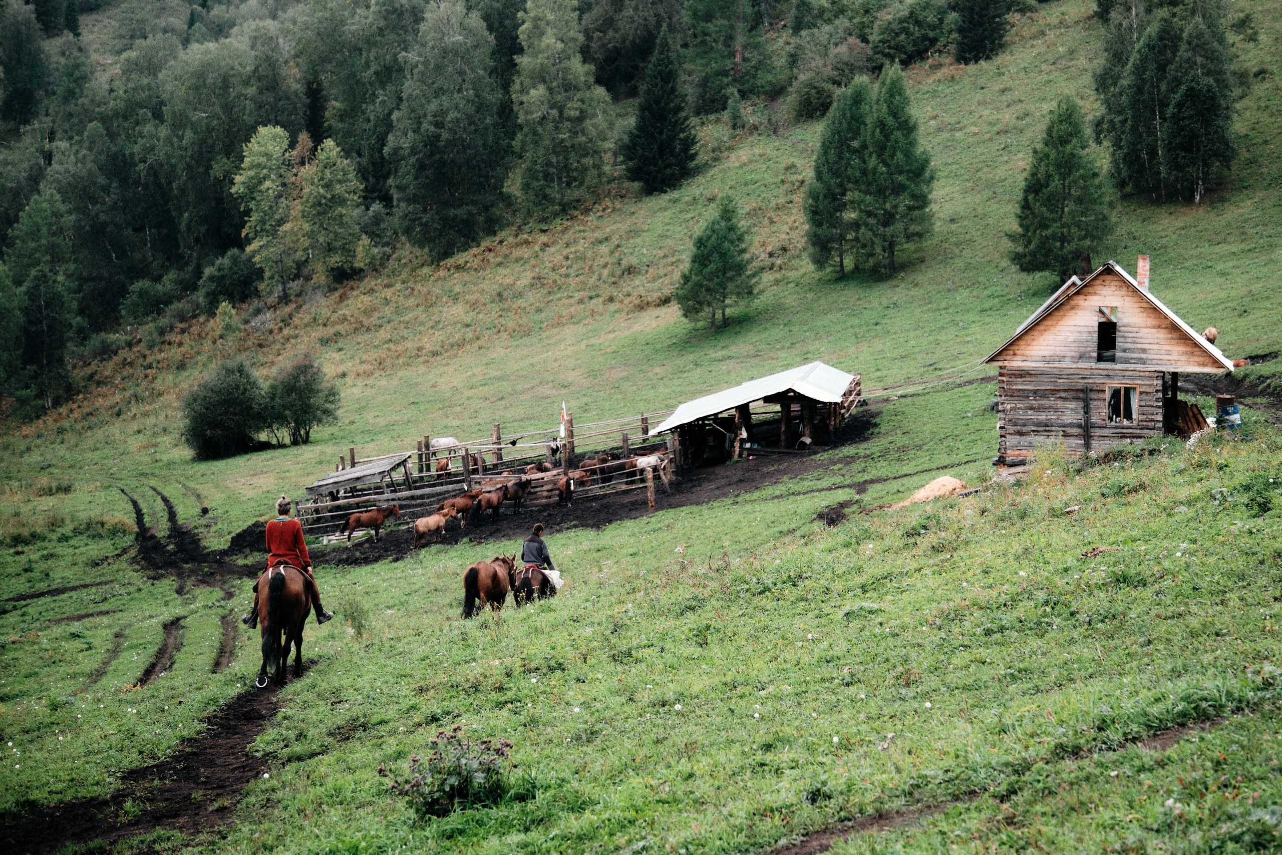 Алтай. Юрий Березнюк. Фотожурналистика