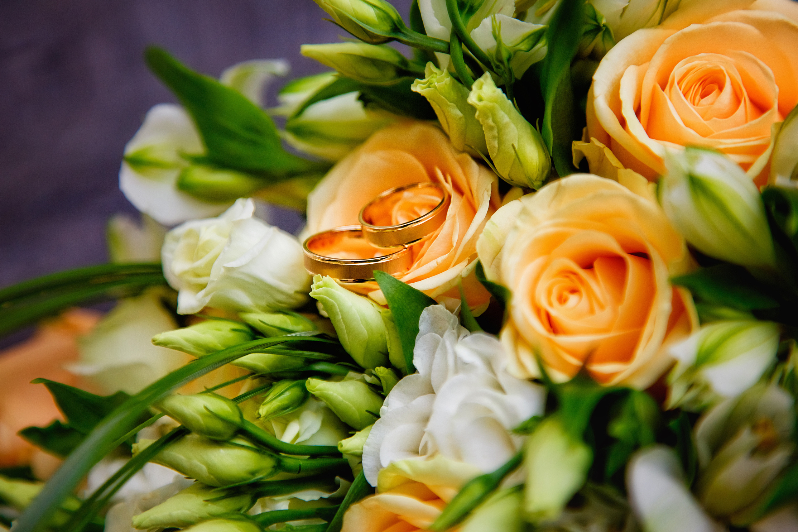 . Фотограф в Москве и Одинцово