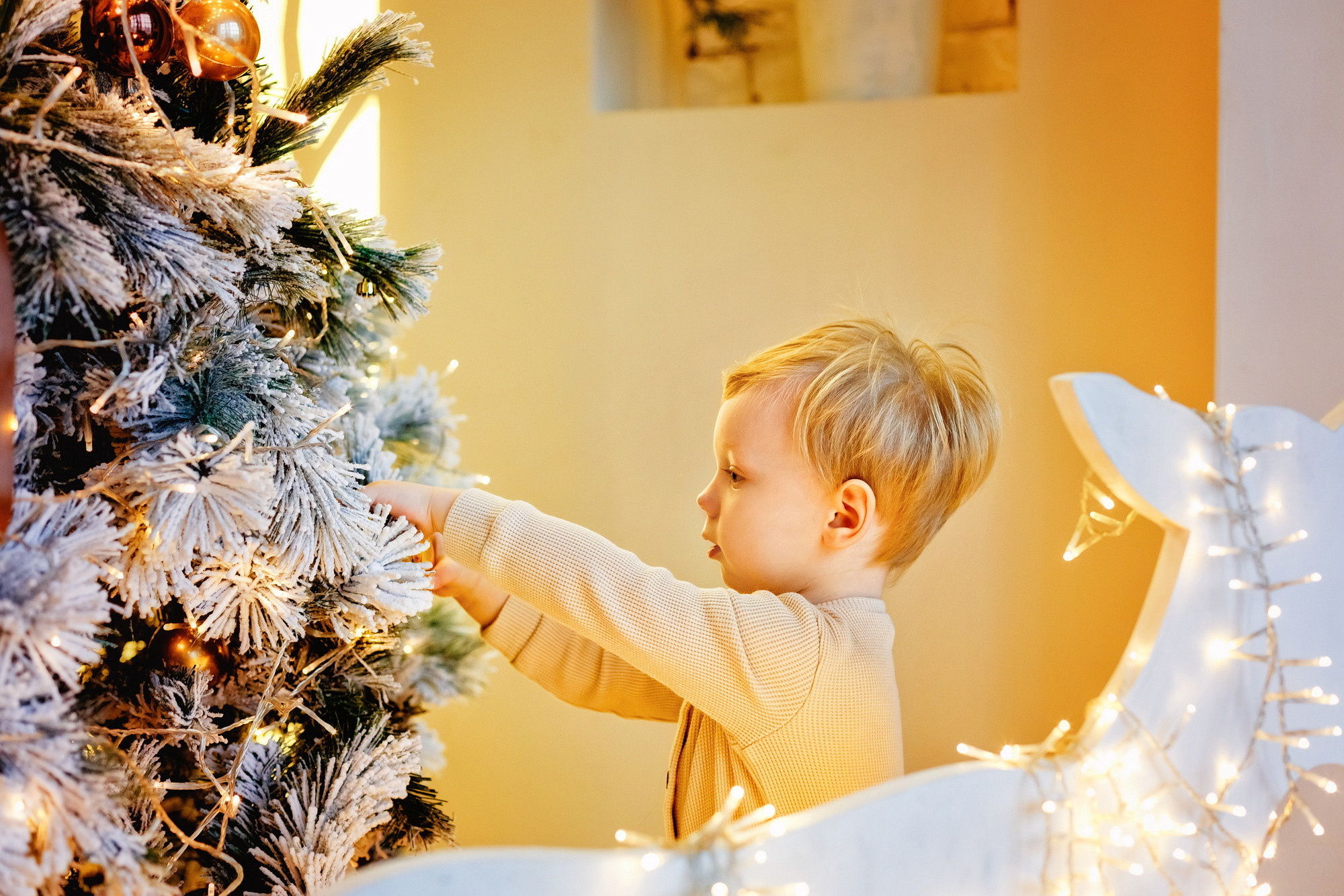 . Фотограф в Москве и Одинцово