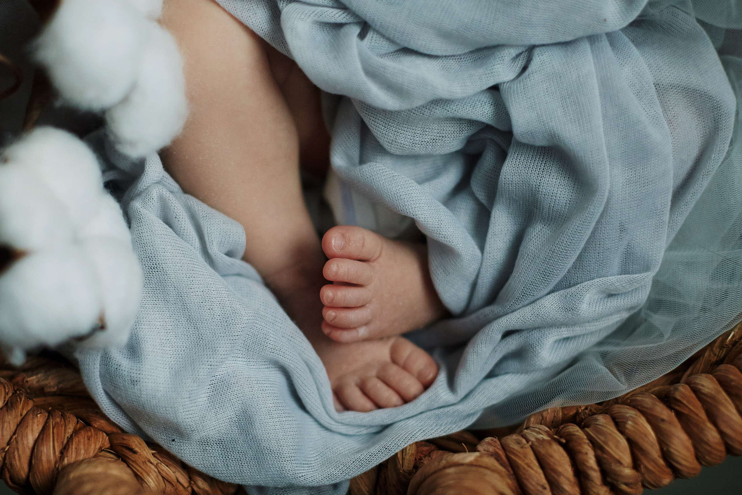 Есения. Фотограф Ольга Ефремова