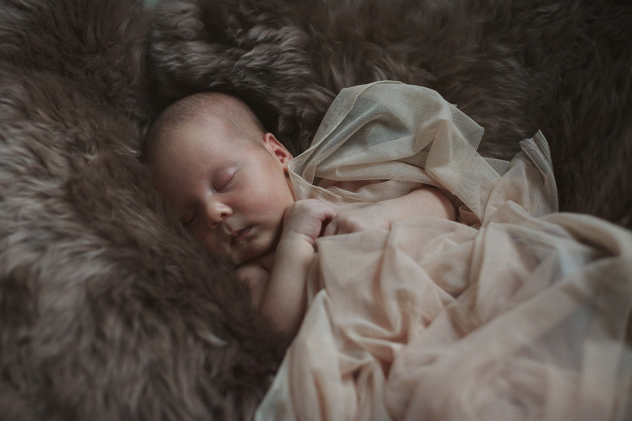 Есения. Фотограф Ольга Ефремова