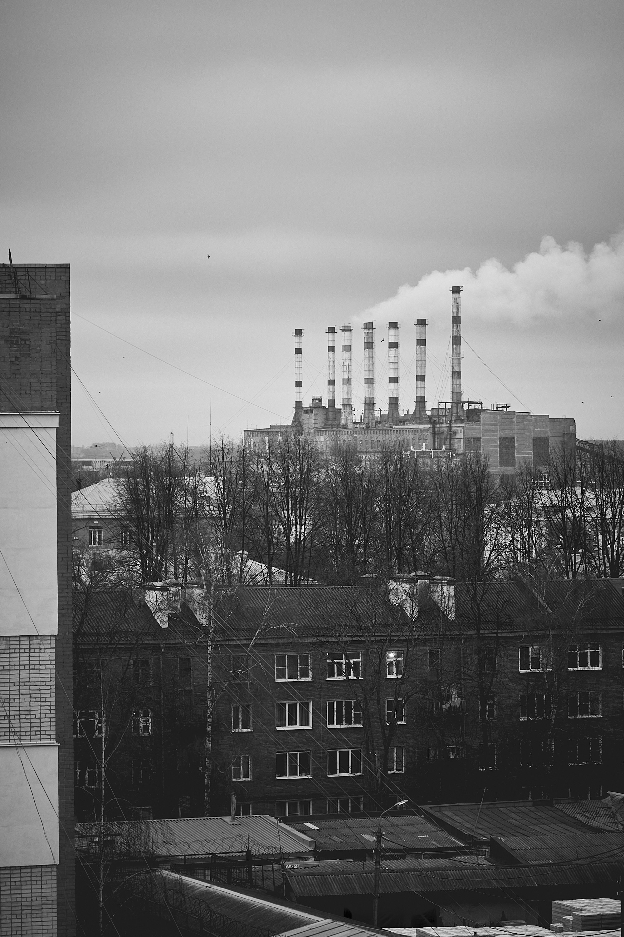 Юниор Профи 2025. Портретный фотограф Евгений Денисов