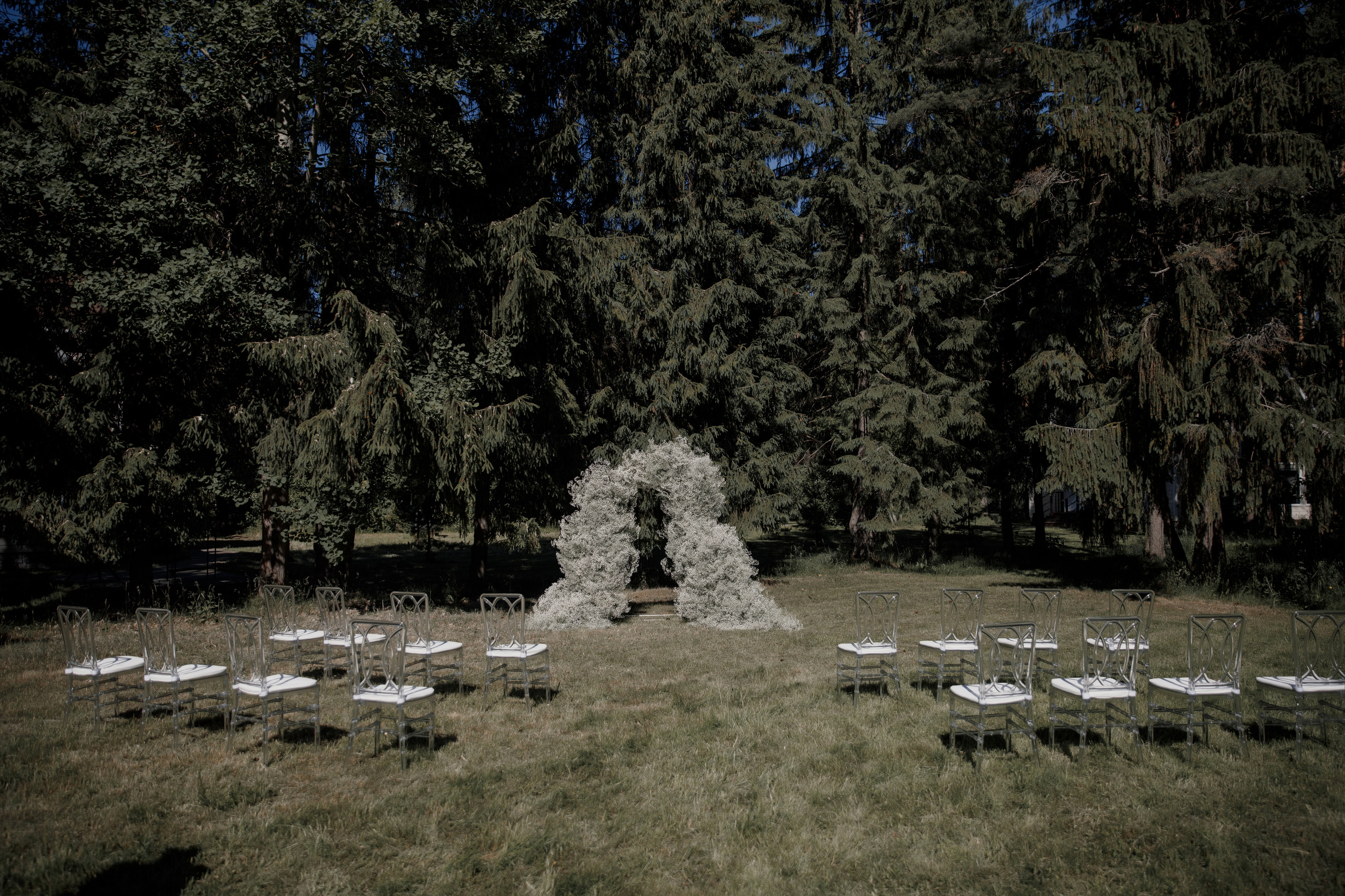 Илья и Света 2022. Свадебный фотограф в Москве, Ярославле Виталий Квант