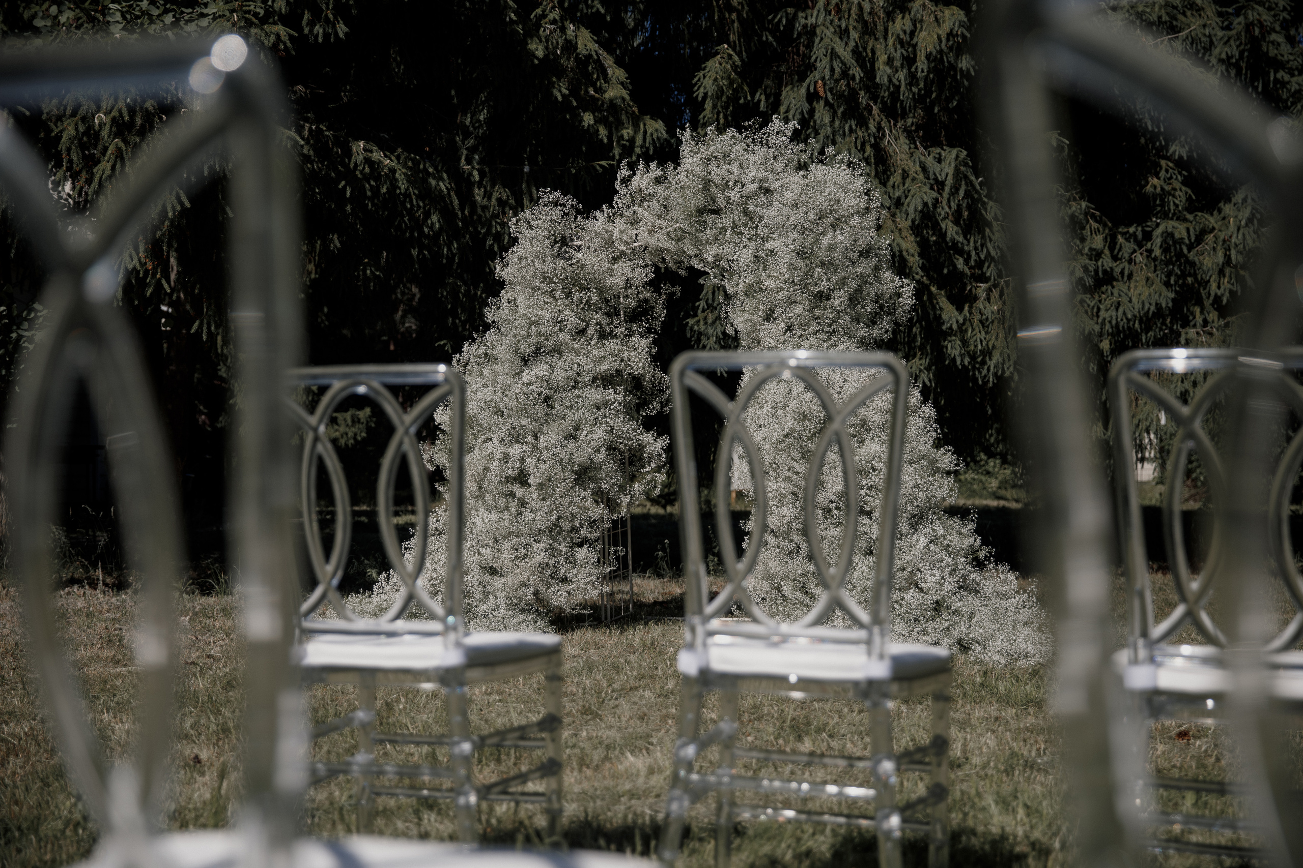 Илья и Света 2022. Свадебный фотограф в Москве, Ярославле Виталий Квант