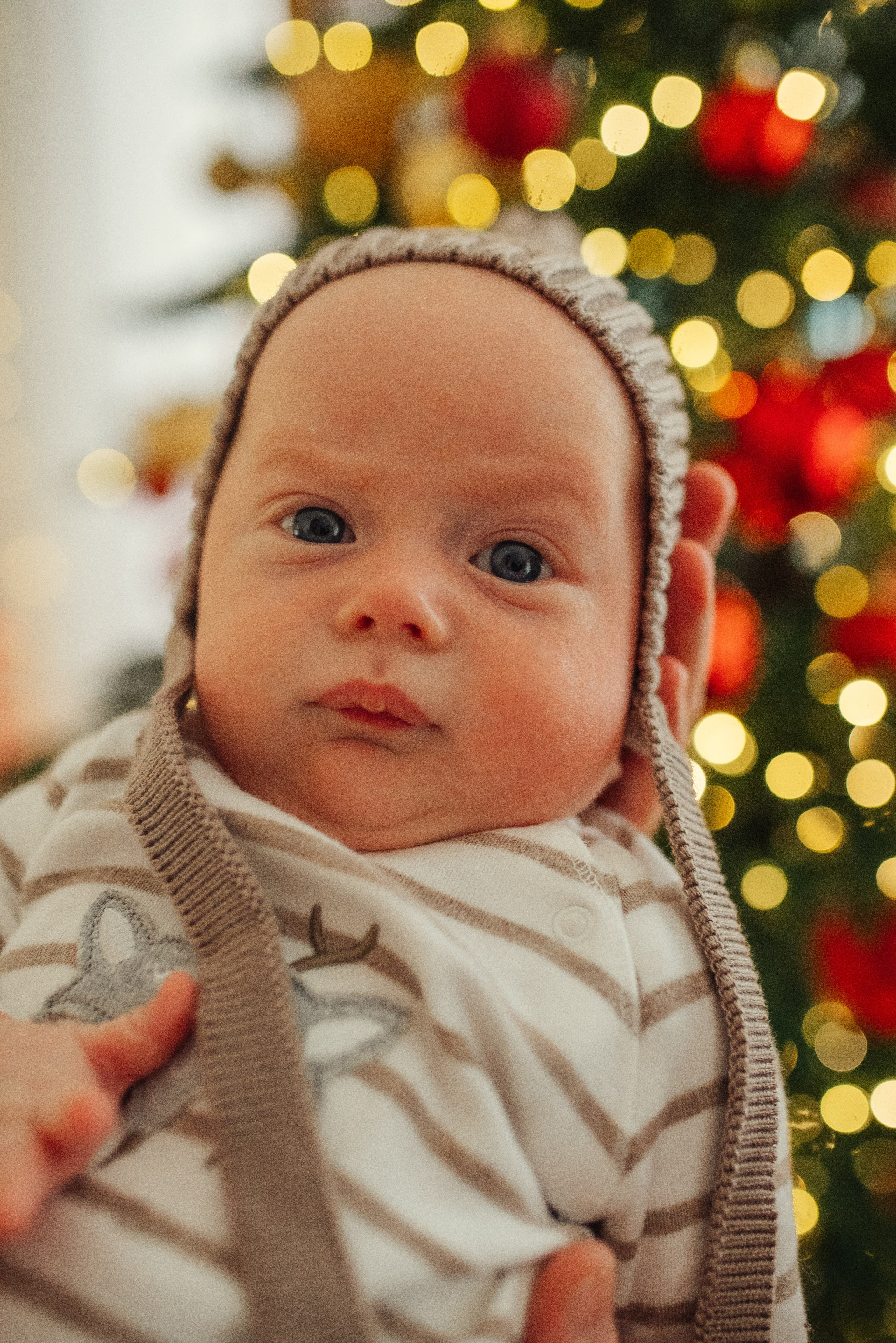 Савелий. Семейный и детский фотограф в Щелково Алена Дробот