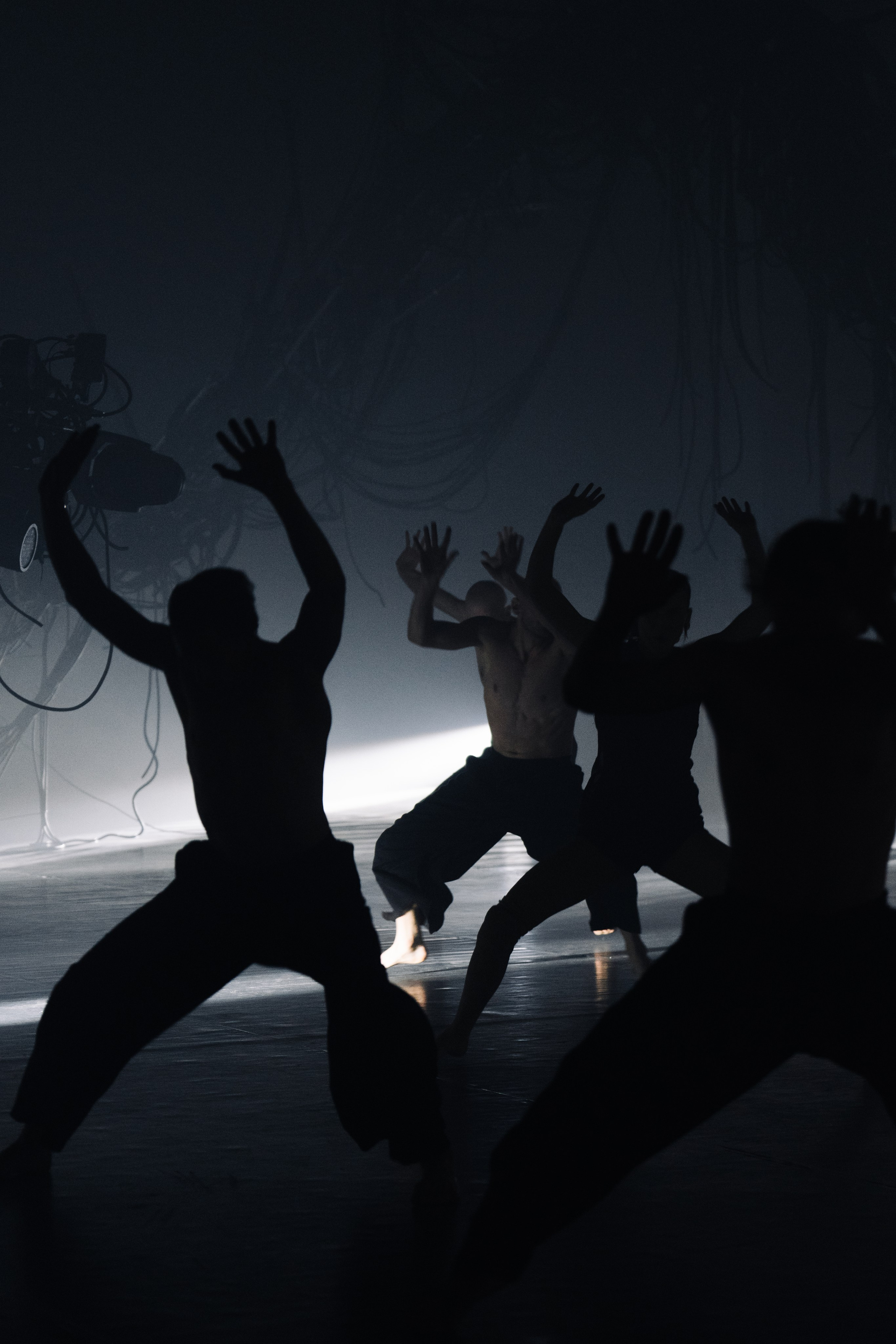 PERFORMA, The Hour of the Horse. @tomrus: Рустам Шагиморданов — фотограф