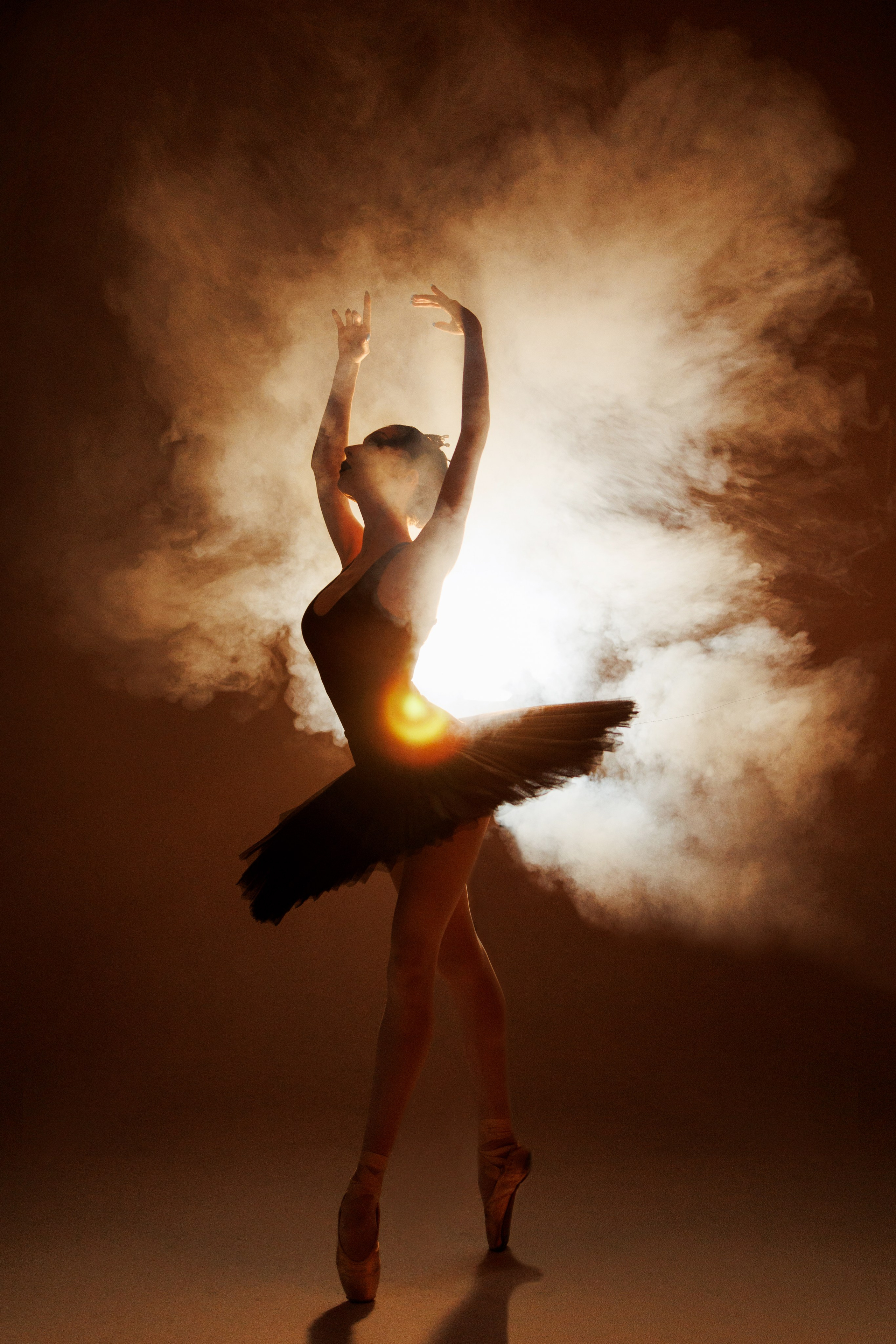 Черный лебедь. Марковкина КрисТина