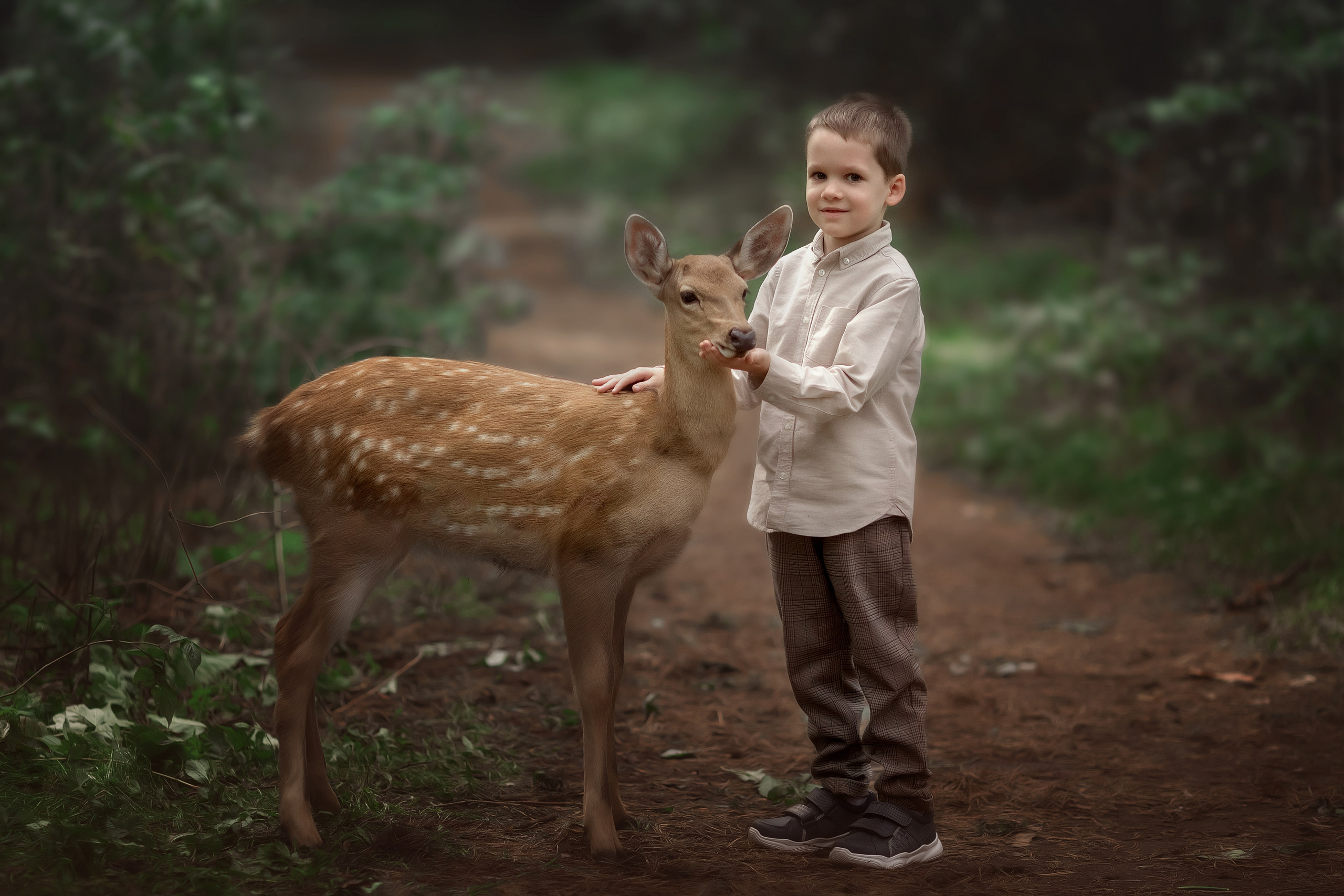 Bambi. Children’s and family photographer Ekaterina Ureva in Moscow