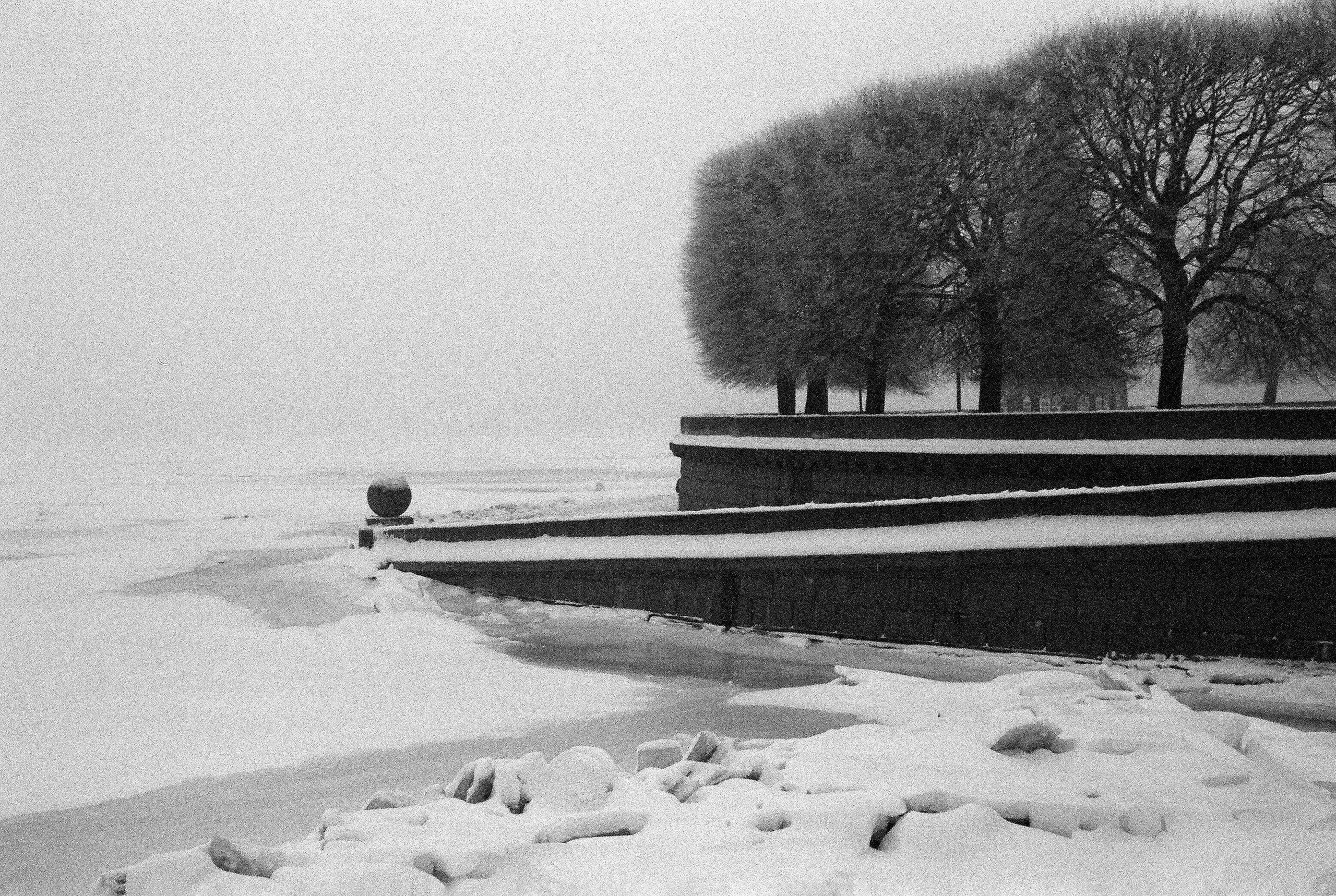 Фотографии черно-белые. Свадебный и семейный пленочный фотограф в Петербурге Истомина Ирина