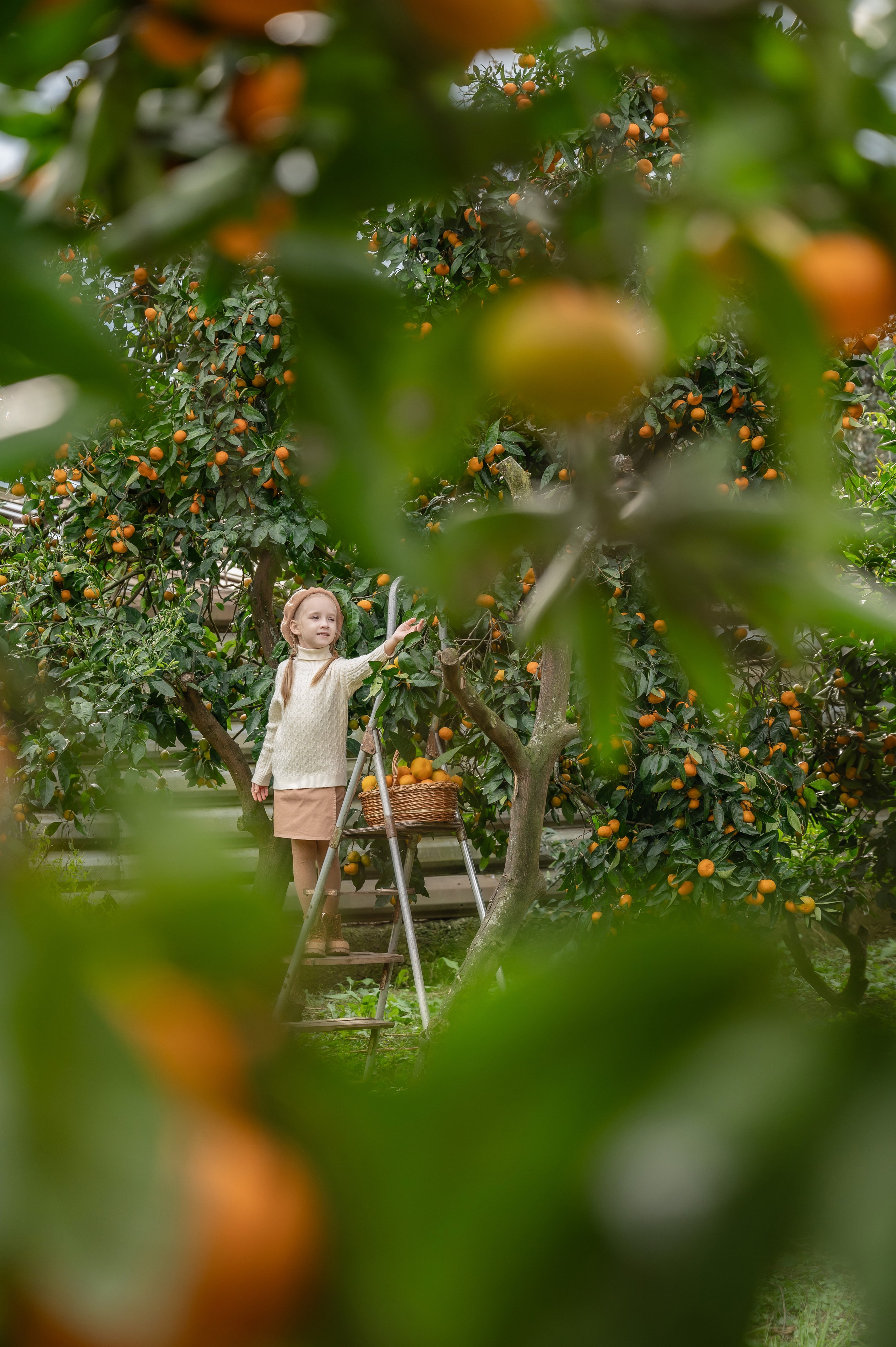 Феи мандаринов Эльвира и Дианочка. Наталья Слесаренко фотограф в Сочи