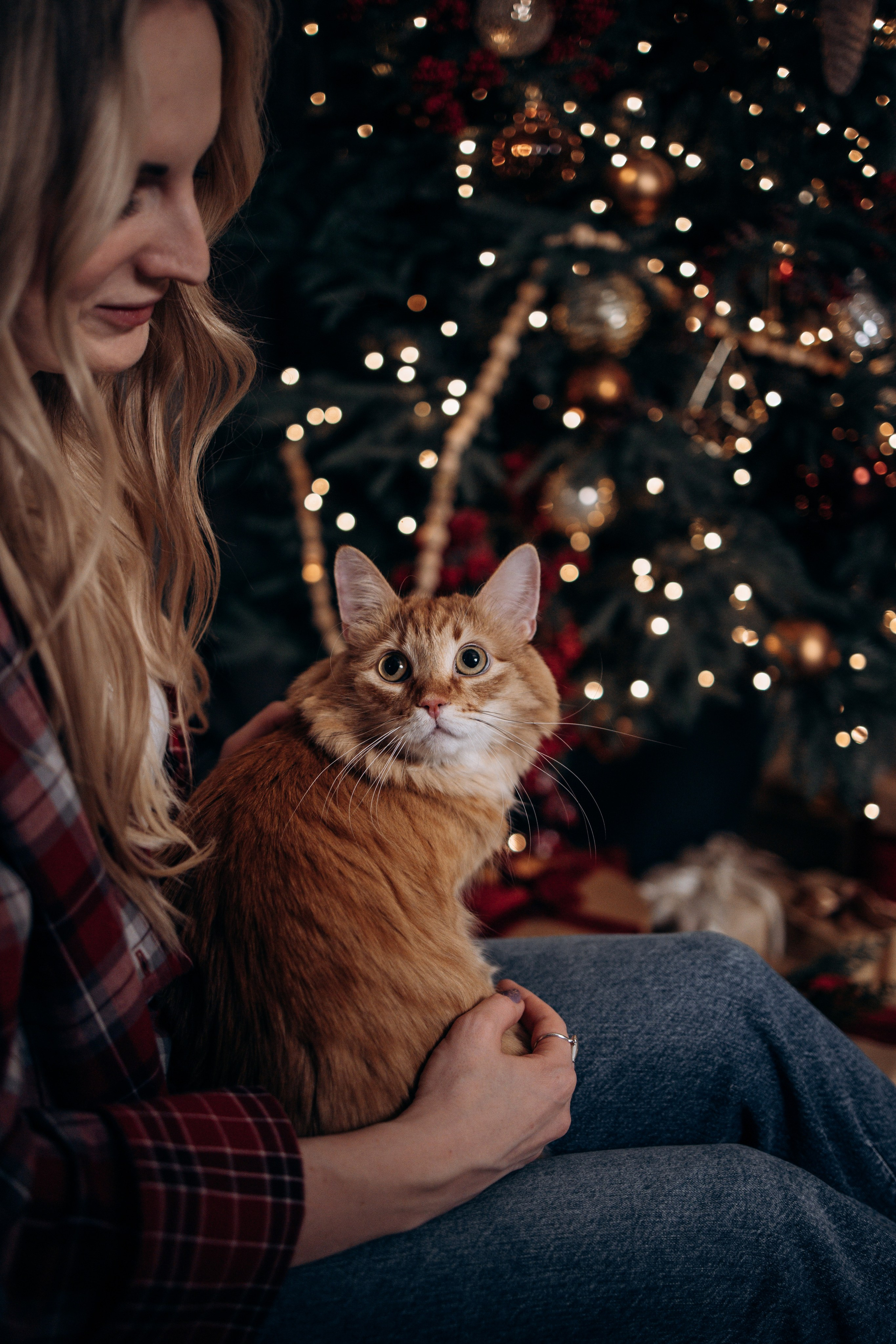 Эля и Франц. Фотограф — Анималист | Санкт-Петербург