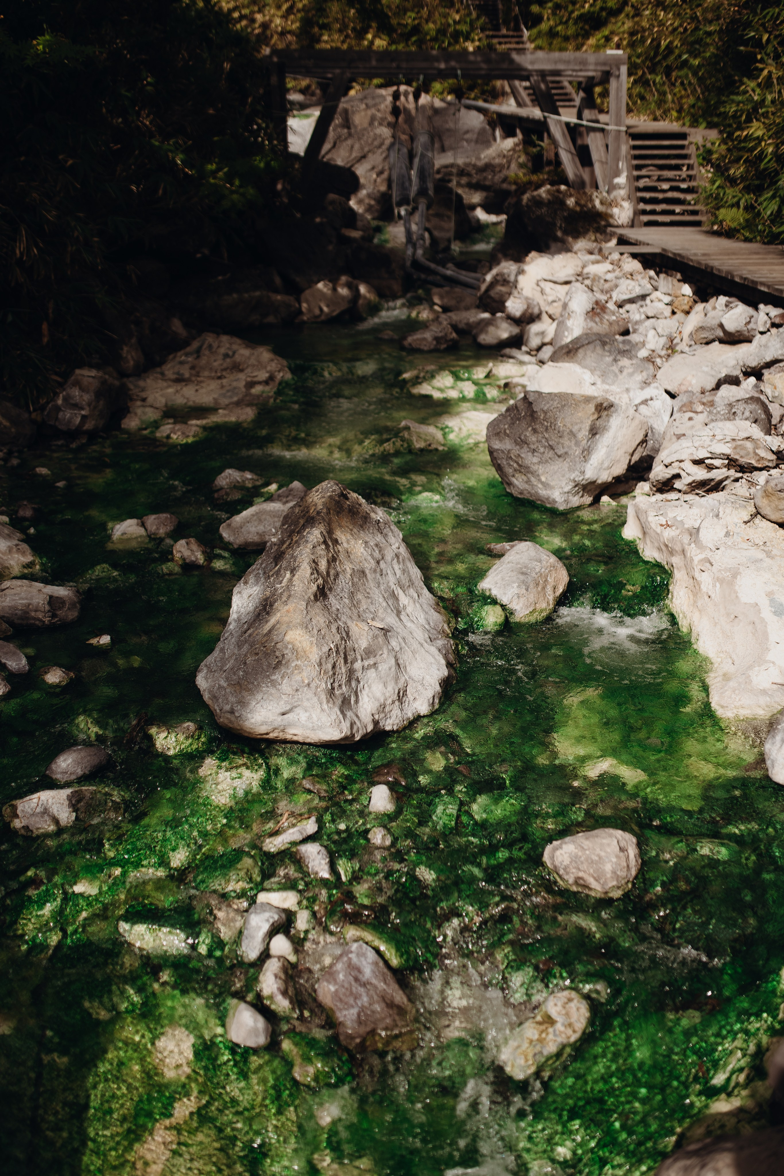 Авторский тур «Оля, куда завтра?!» 2024. Фотограф Итуруп | Курильские острова