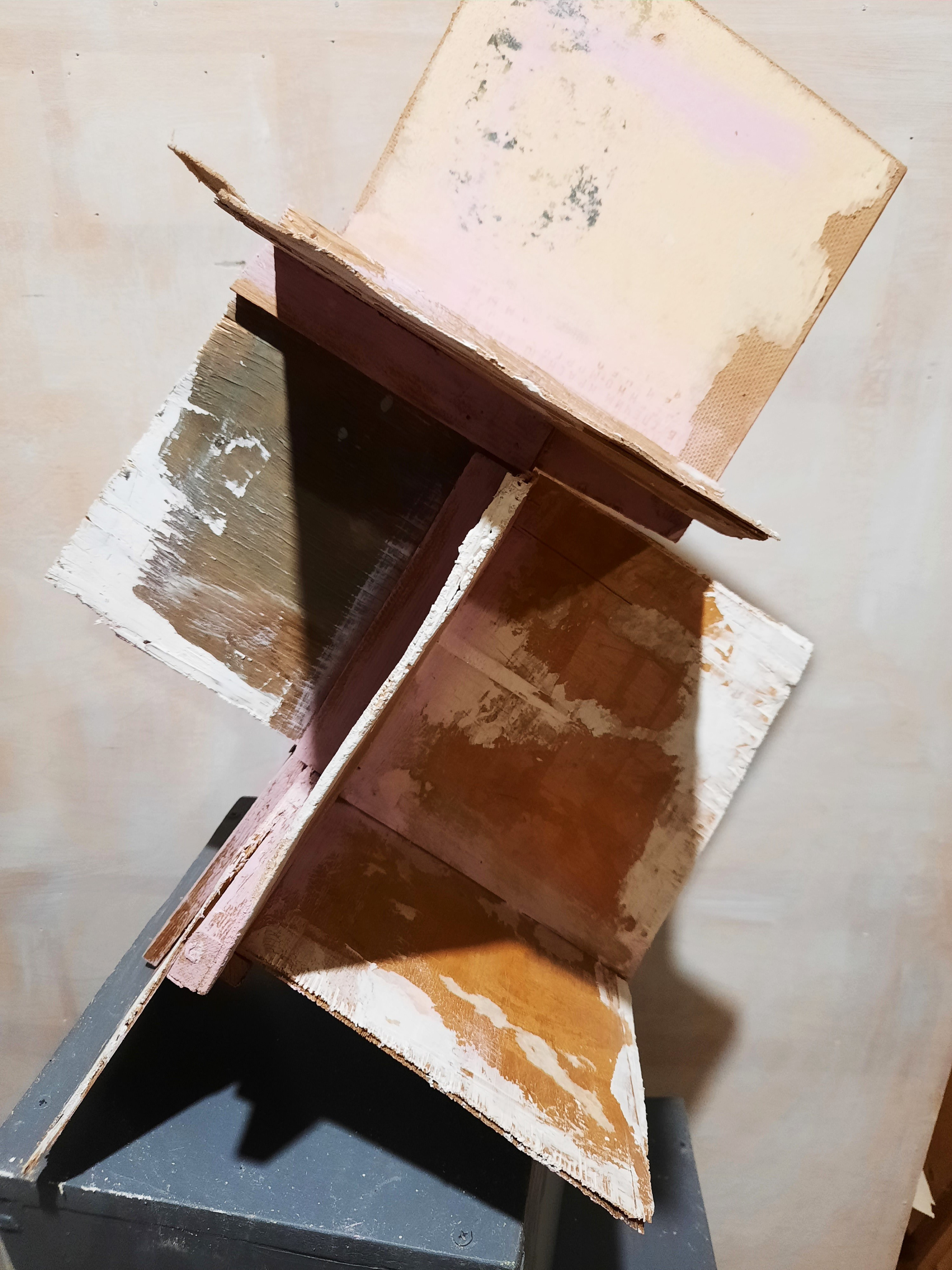 Объекты. «Трансформы». Лилия Ким. Междисциплинарный художник