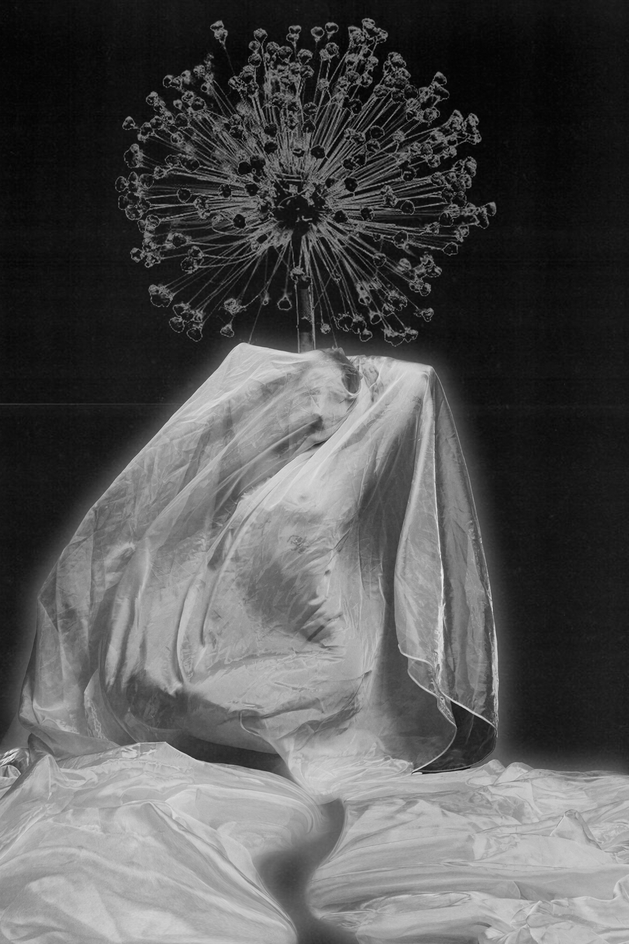 Ксения. Фотограф|Санкт-Петербург