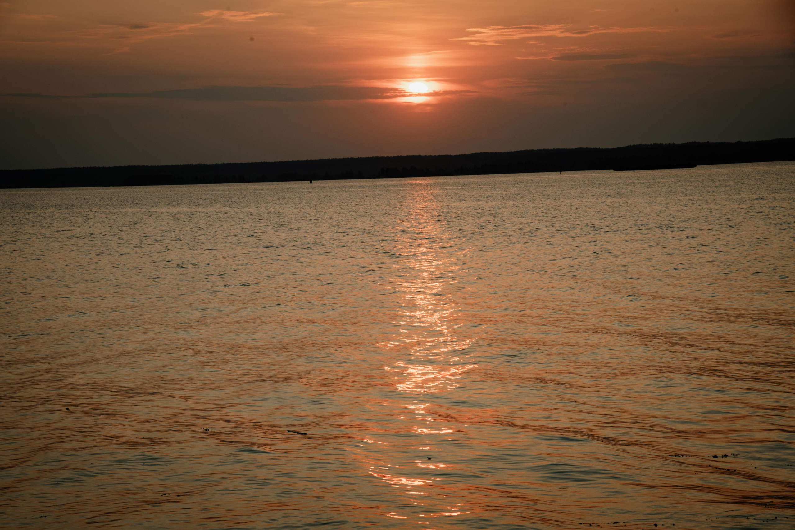 Семейный. Фотограф Алёна Евграфова