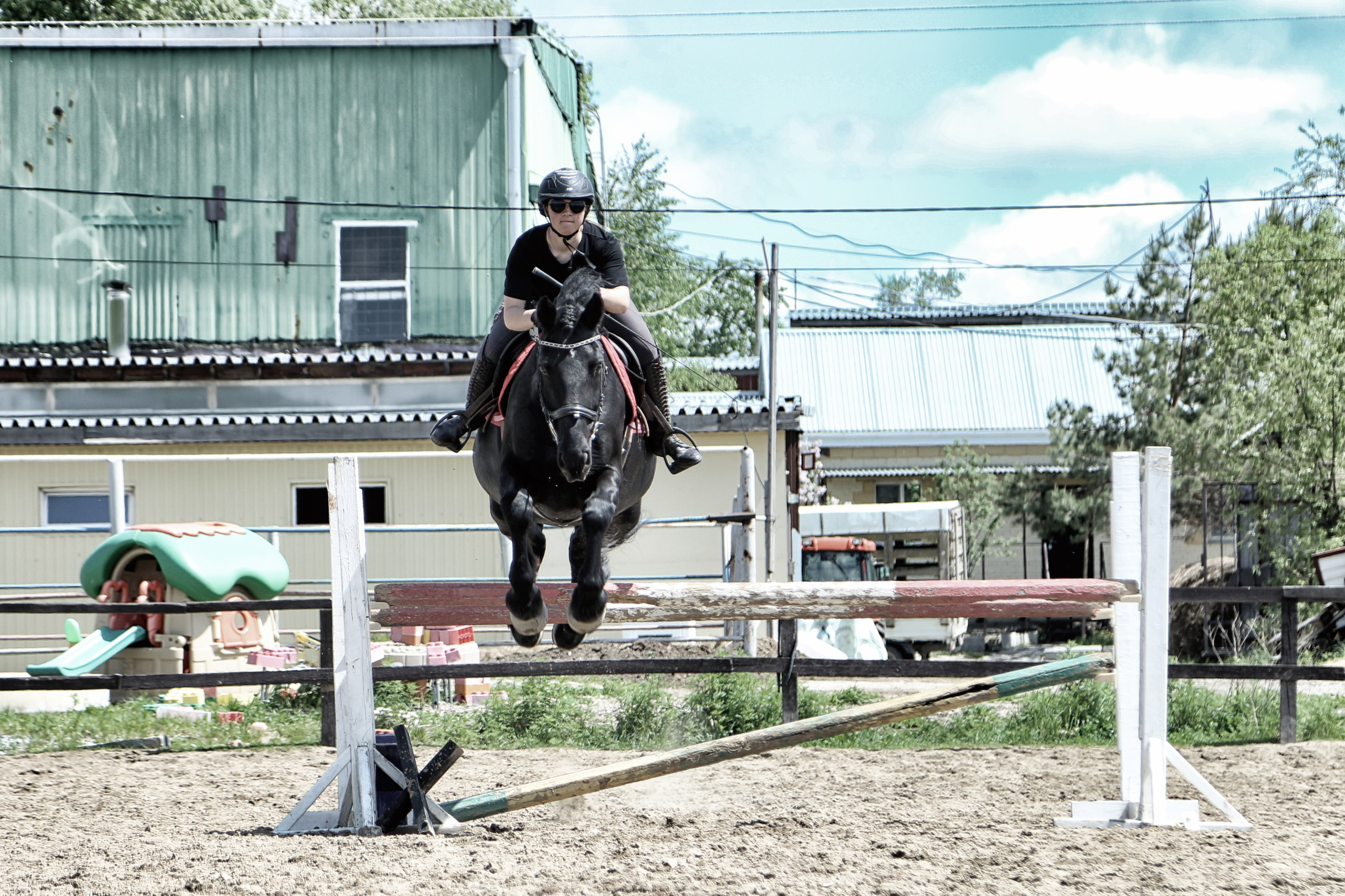 Лошади «Каскад» и «Брилиант». Алиса Томшина — Фотограф / Видеограф
