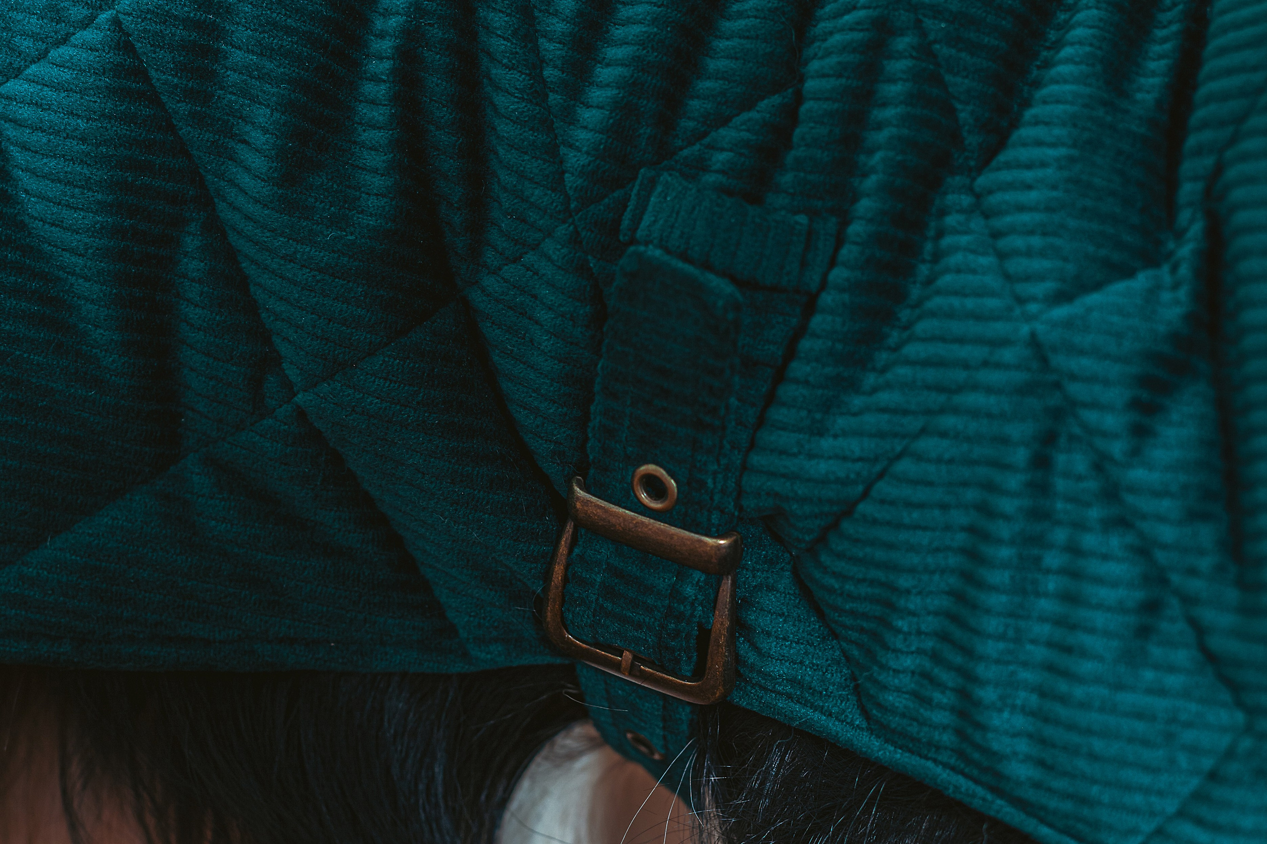 Съемка для бренда TEDDYBOY. Фотограф-анималист Татьяна Степанова