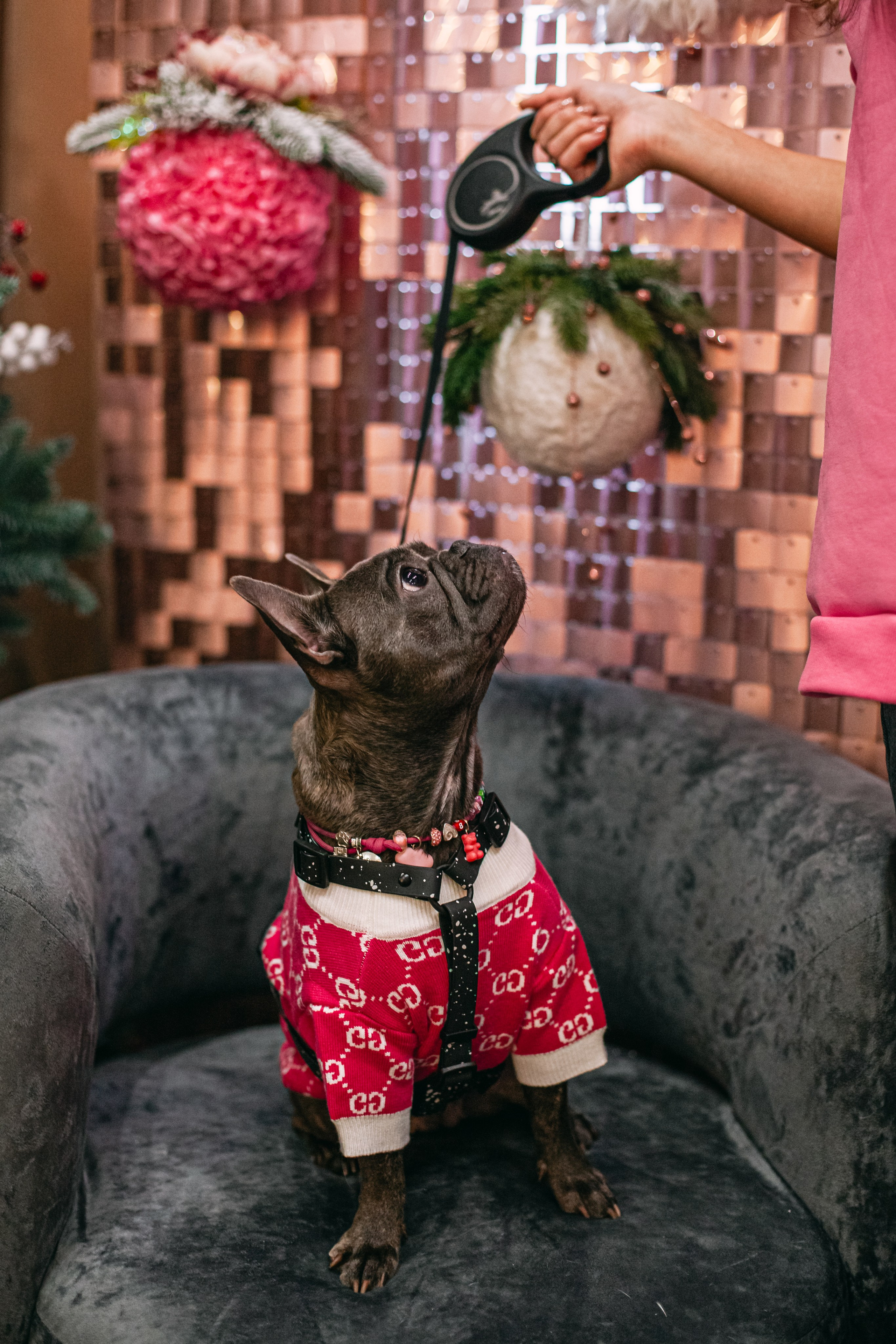 Бульёлка 2024. Фотограф-анималист Татьяна Степанова