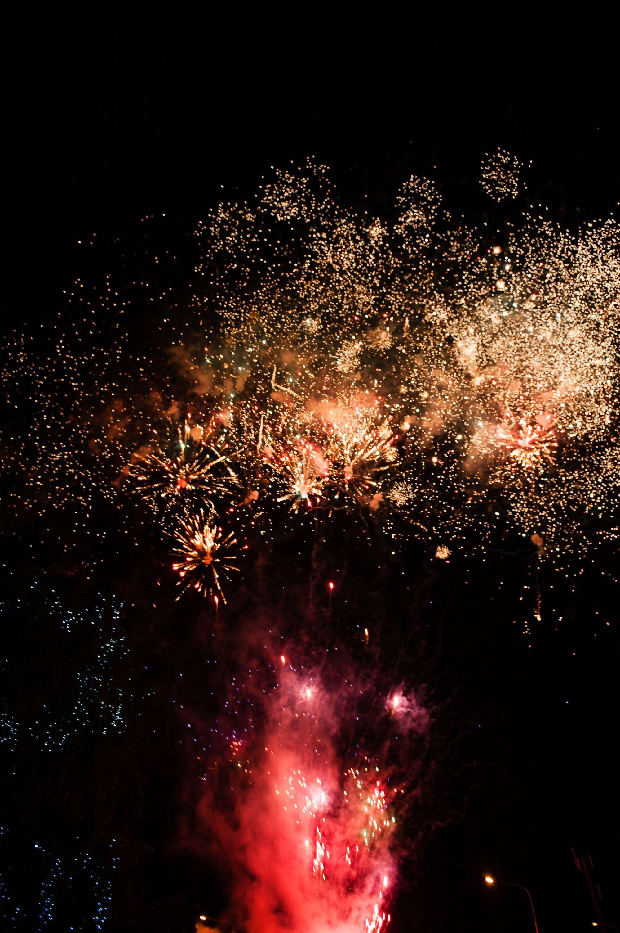 Владимир и Элина