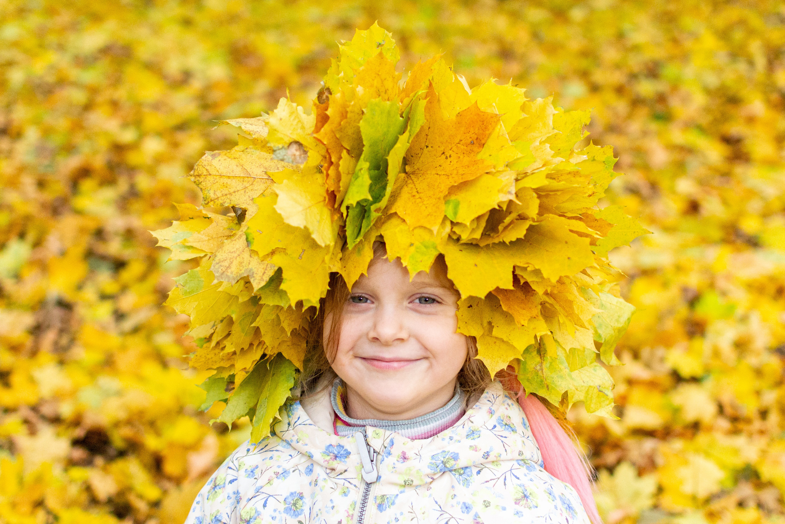 Старенький Nikon 3100 и nikkor 35 mm 1.8 (фото проявленные из RAW-NEF файлов). Фотограф в Туле Крупский АнДРей. Фотостудия «КАДР71» в Туле